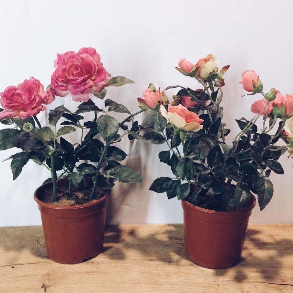 Троянда штучна мала у вазоні FW-032