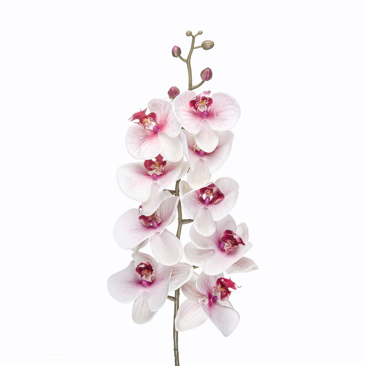 Орхідея фаленопсис гілка біло-рожевий латекс FW-145