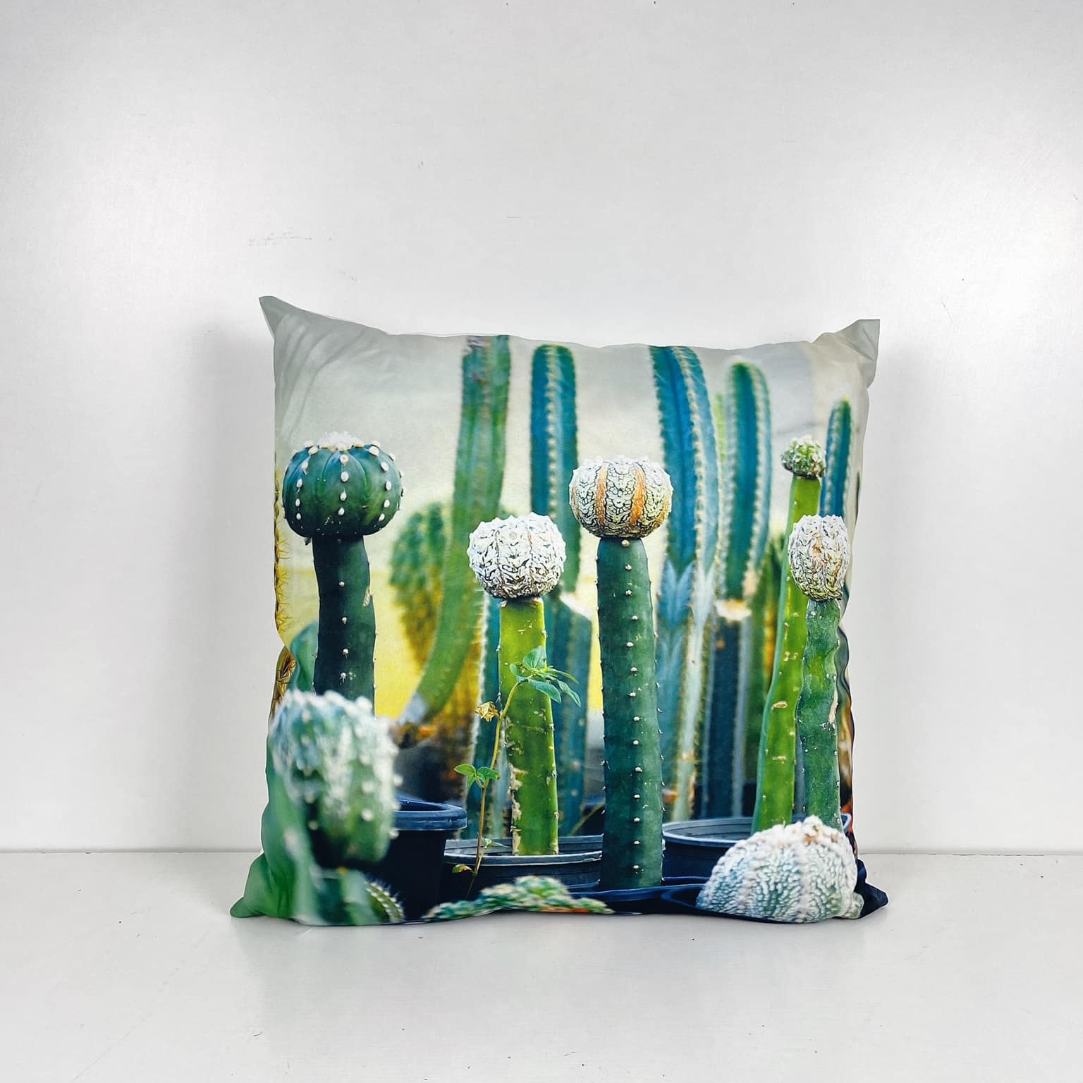 Подушка фотопринт Кактус PW-360