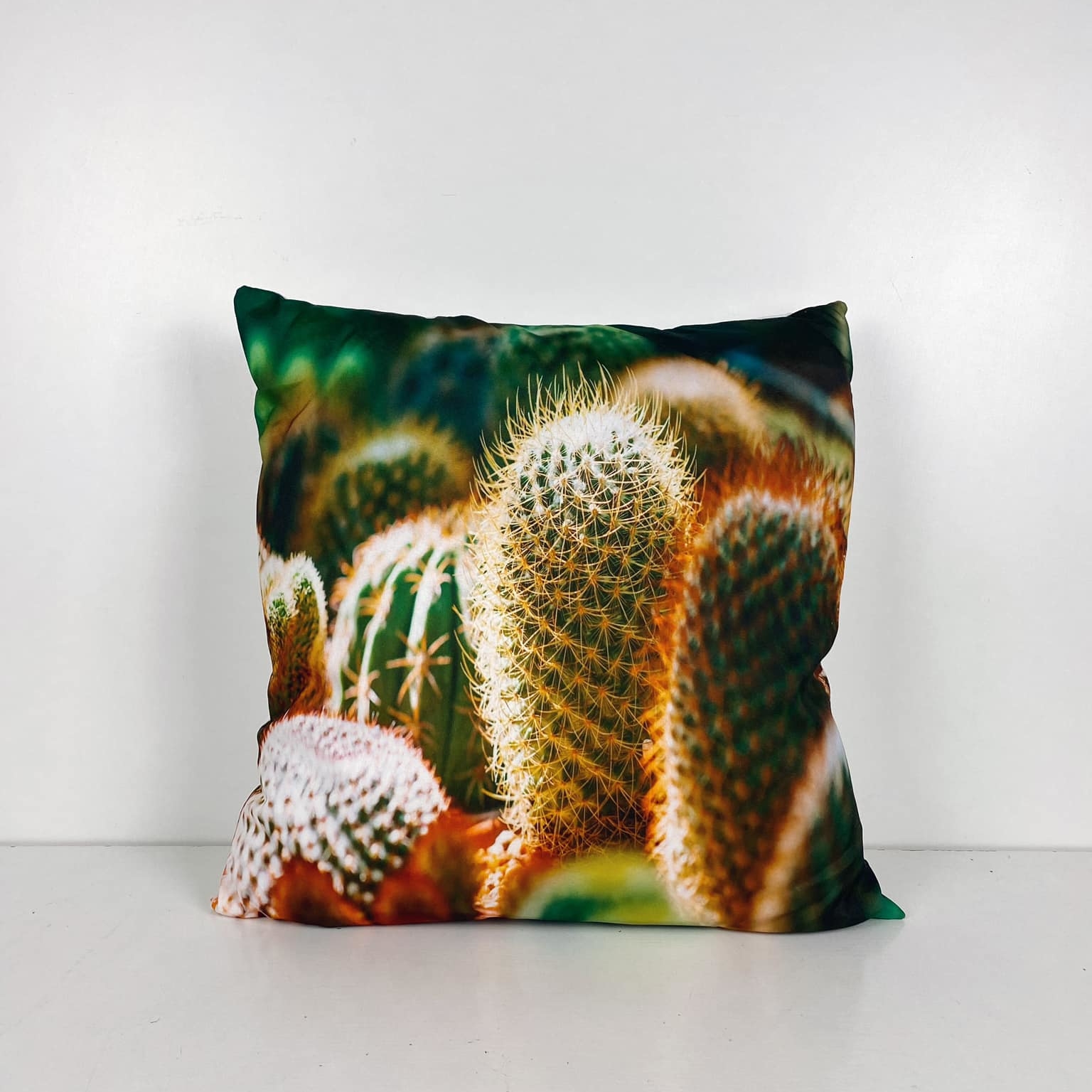 Подушка фотопринт Кактус PW-361