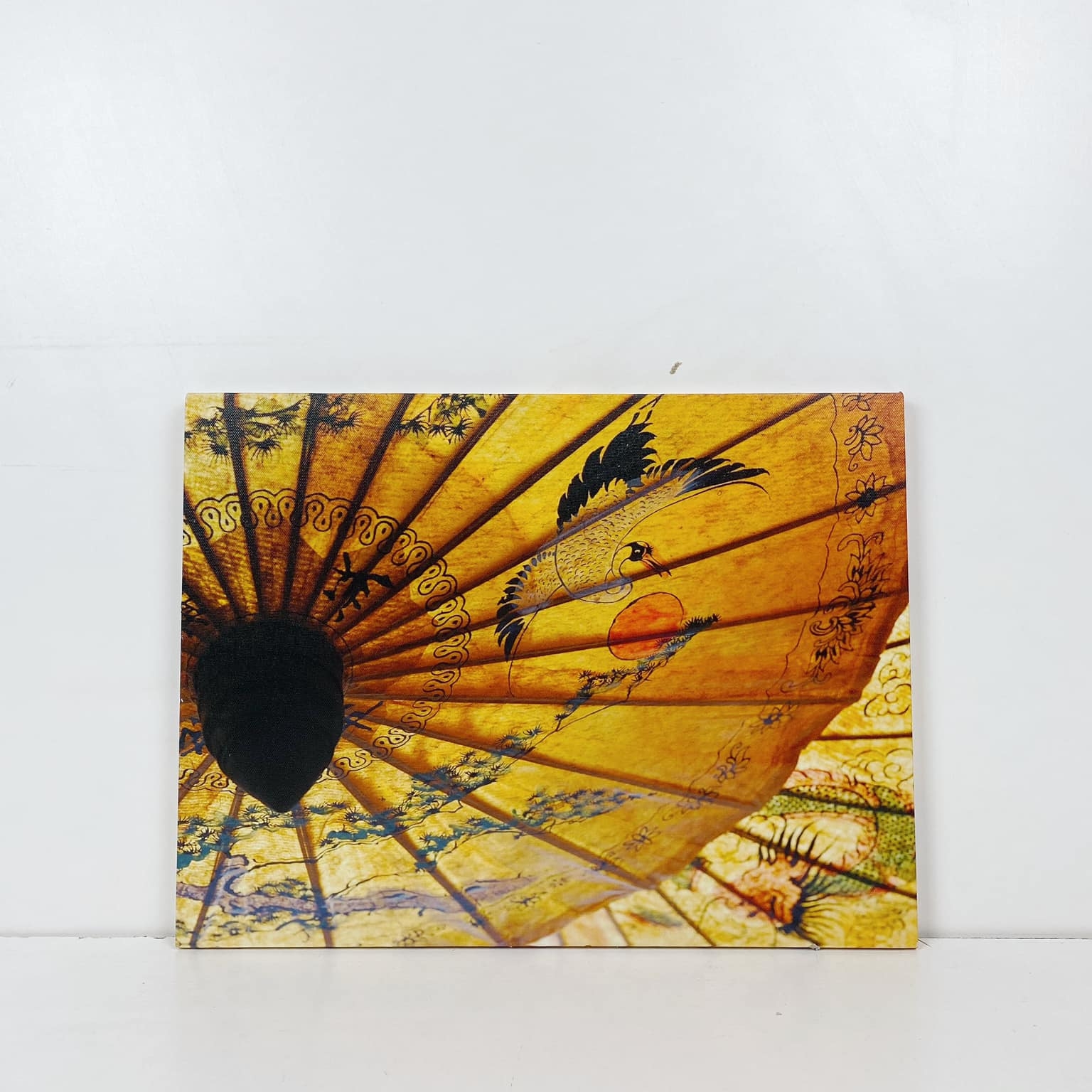 Фото кольорове Китайські парасольки AR-623