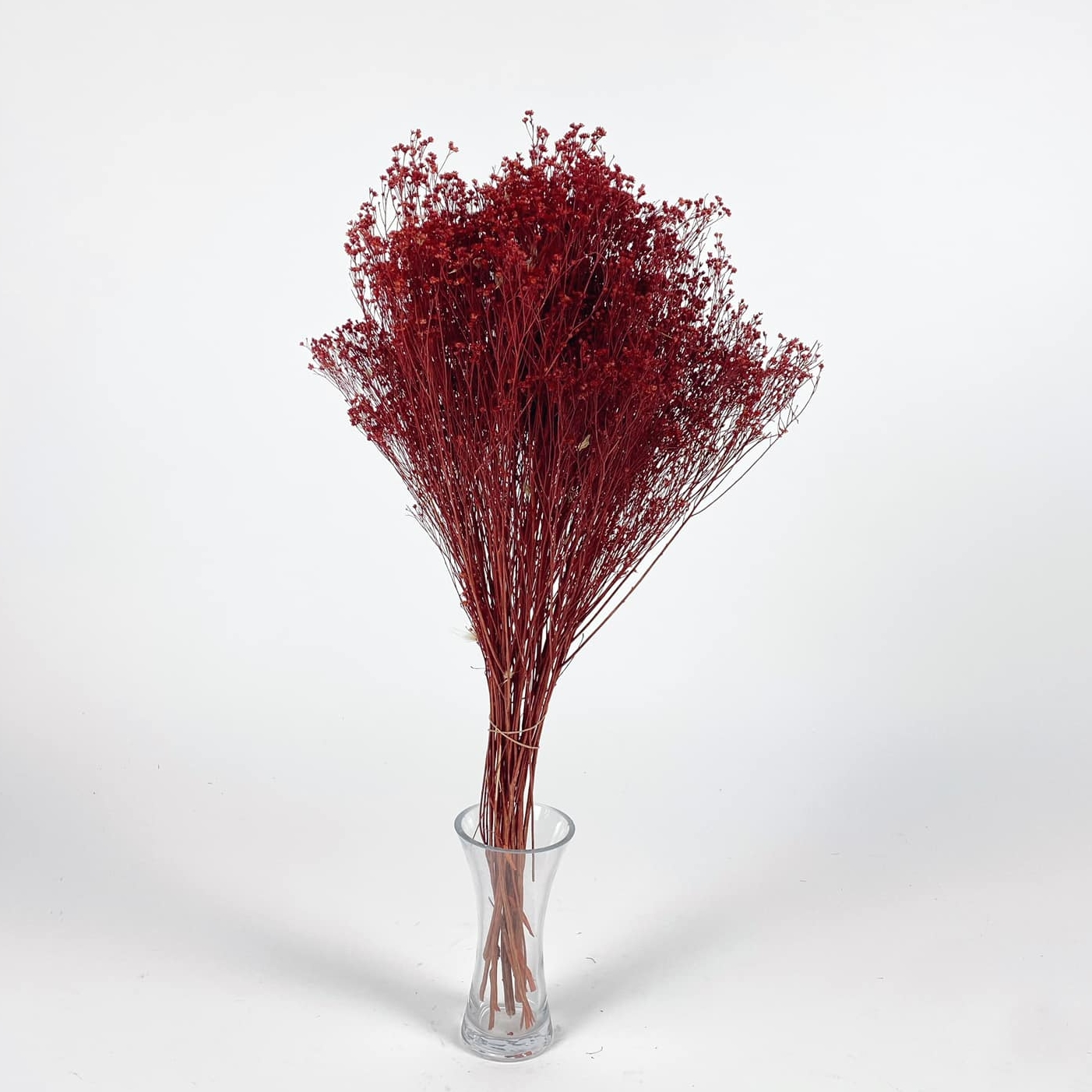 Сухоцвіти пучок червоний FW-161