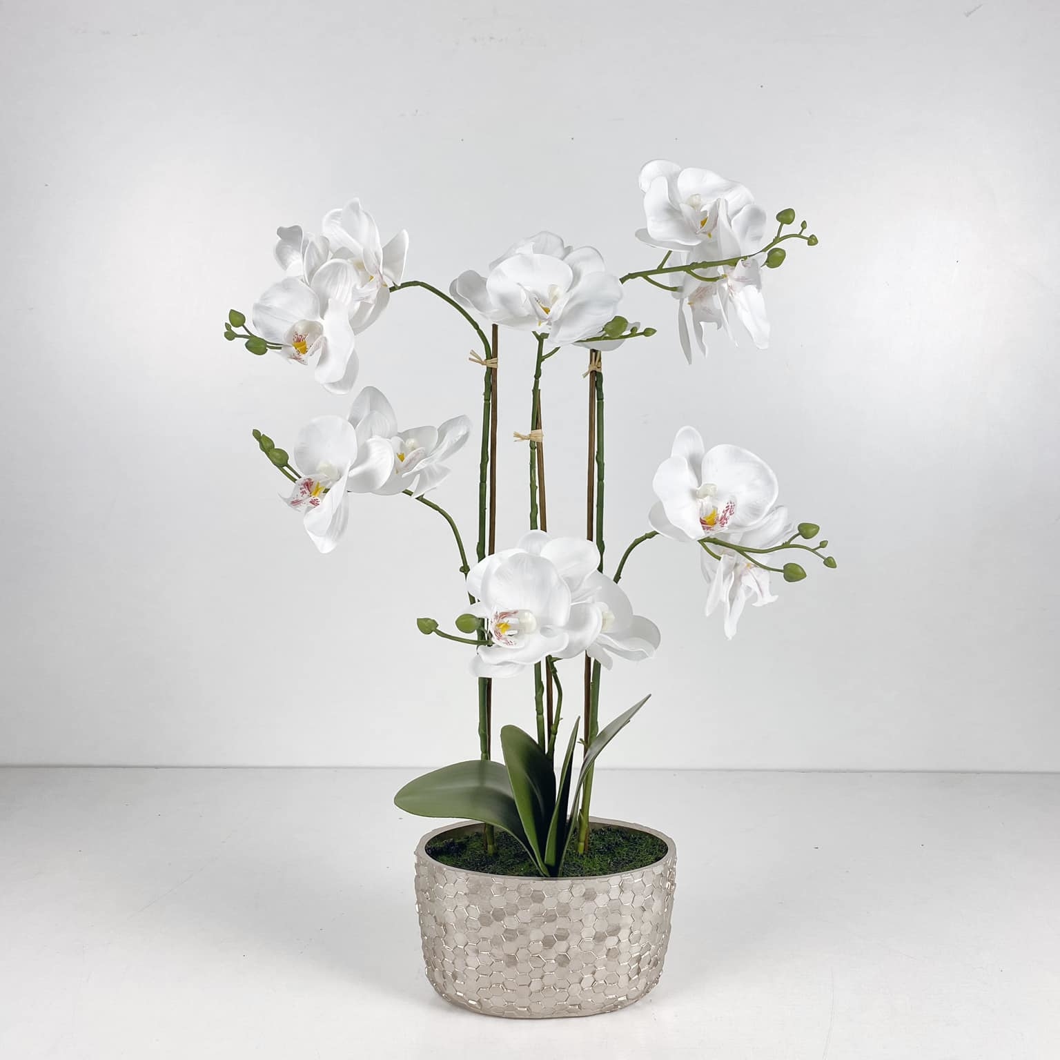 Орхідея біла у сріблястому вазоні FW-133