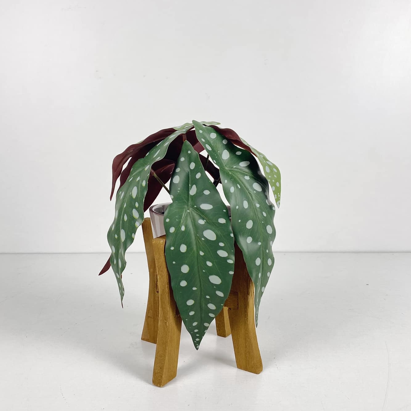 Бегонія штучна у білому вазоні на підставці FW-132