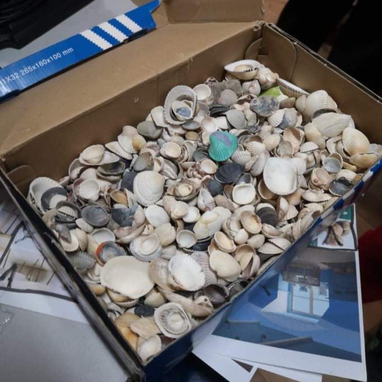 Мушлі дрібні мікс (коробка)