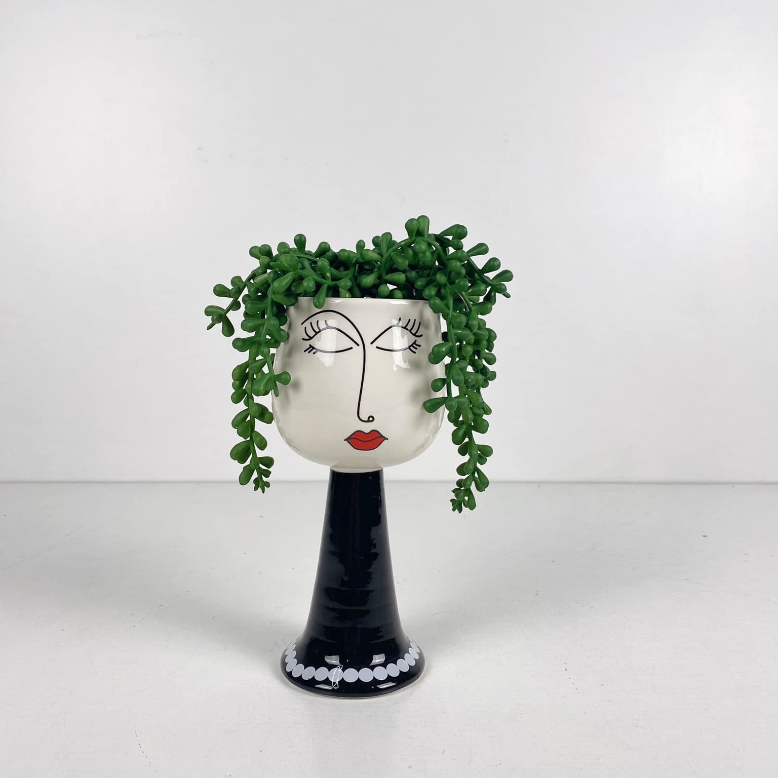 Сукулент ампельний у кашпо з обличчям FW-134