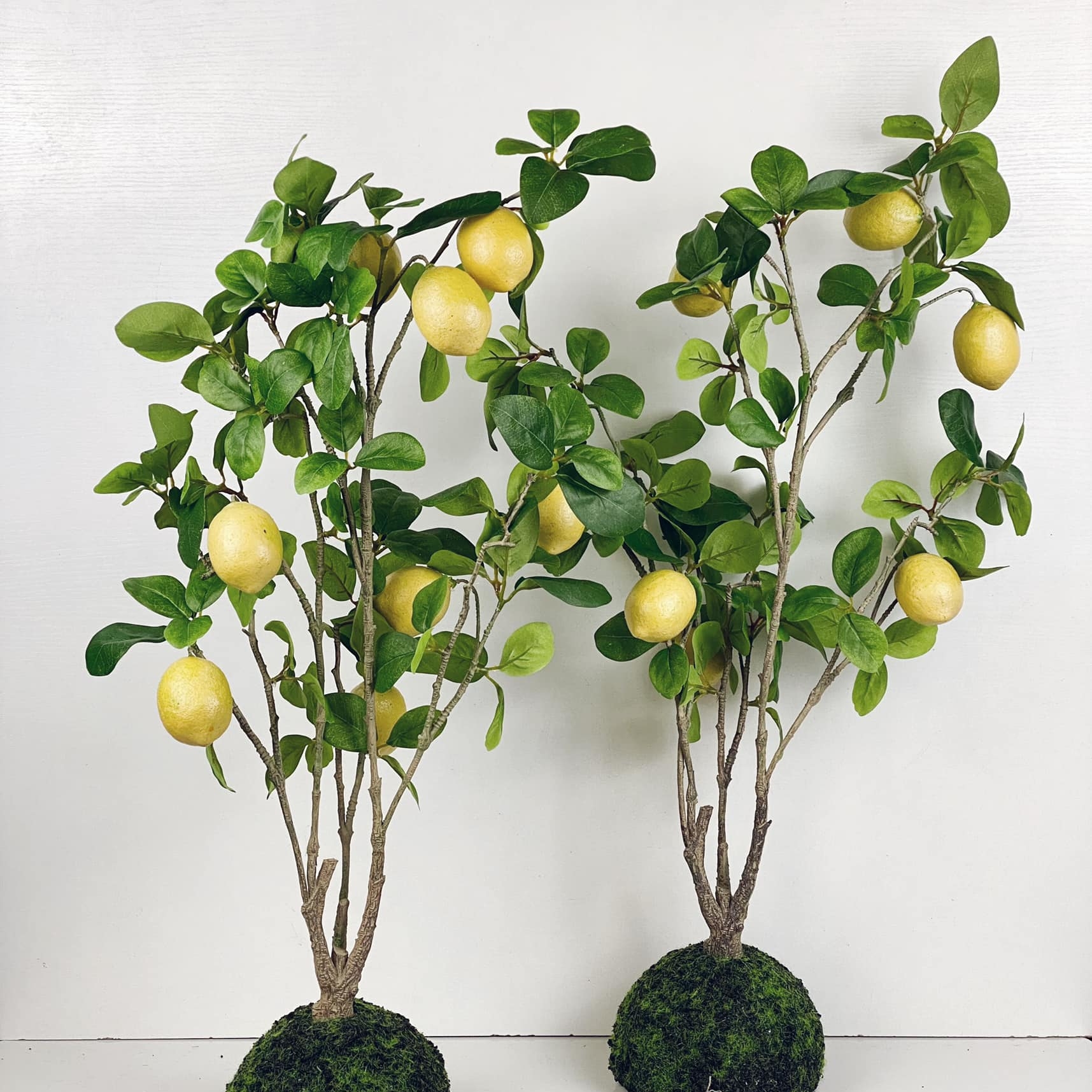 Кущ з плодами лимону 80 з клубнем моху (123544/135405) FW-218