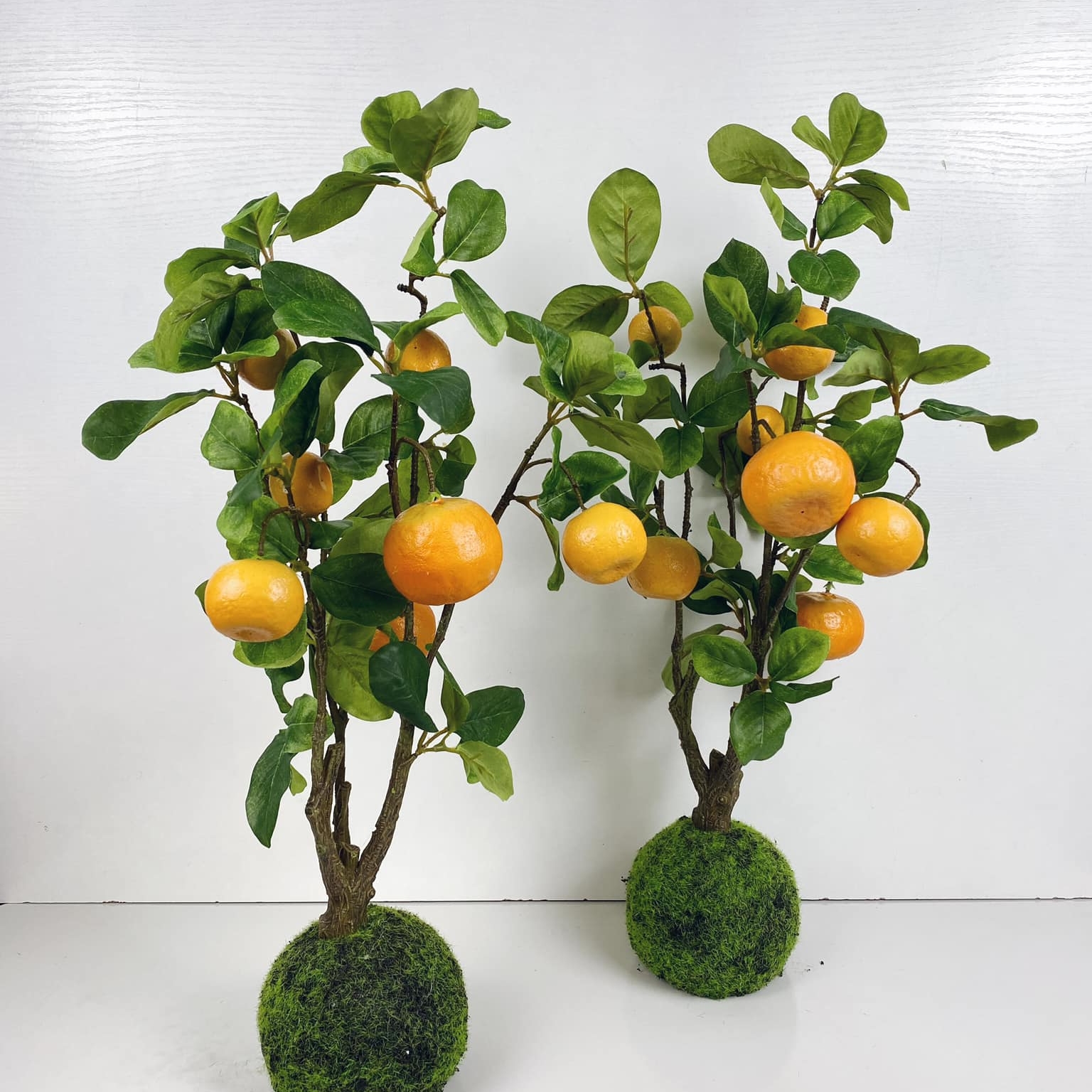 Кущ з плодами мандарину 60 з клубнем моху (135403) FW-223