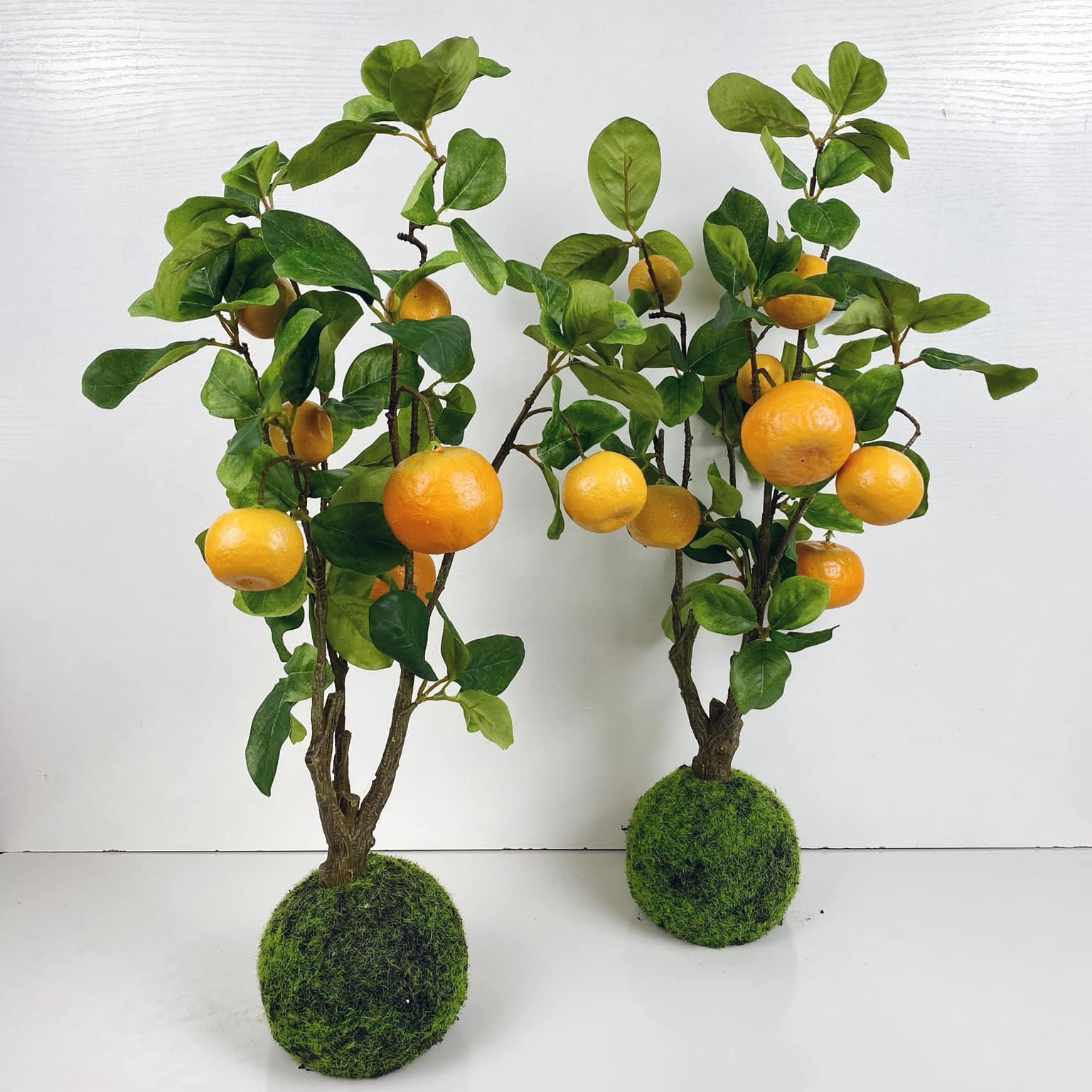 Кущ з плодами мандарину 80 з клубнем моху (123545/135406) FW-222