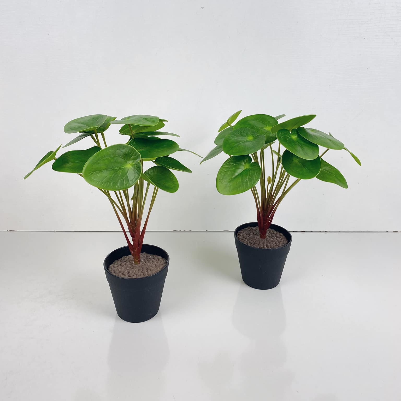 Пілея 2 штучна у вазоні FW-215