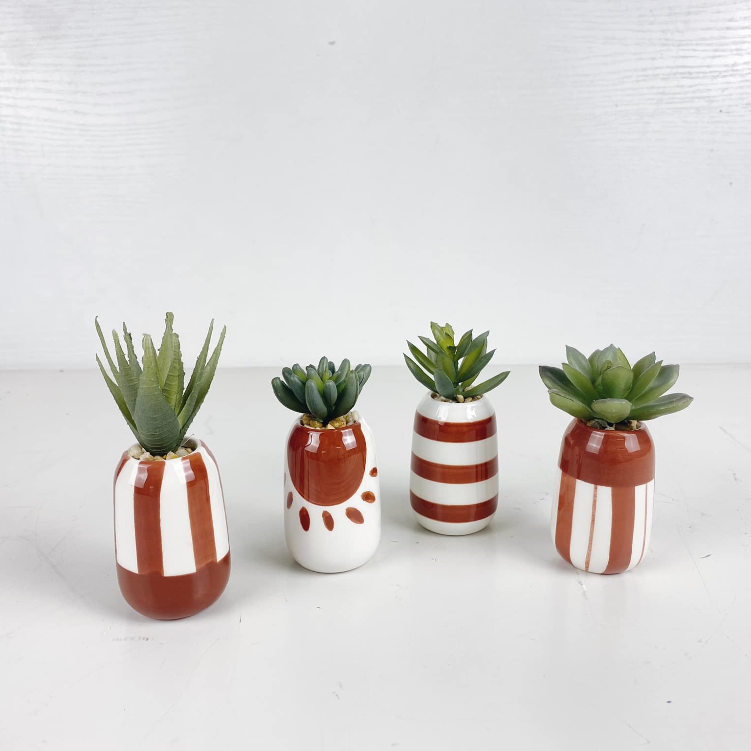 Сукулент малий у кольоровому кашпо FW-150