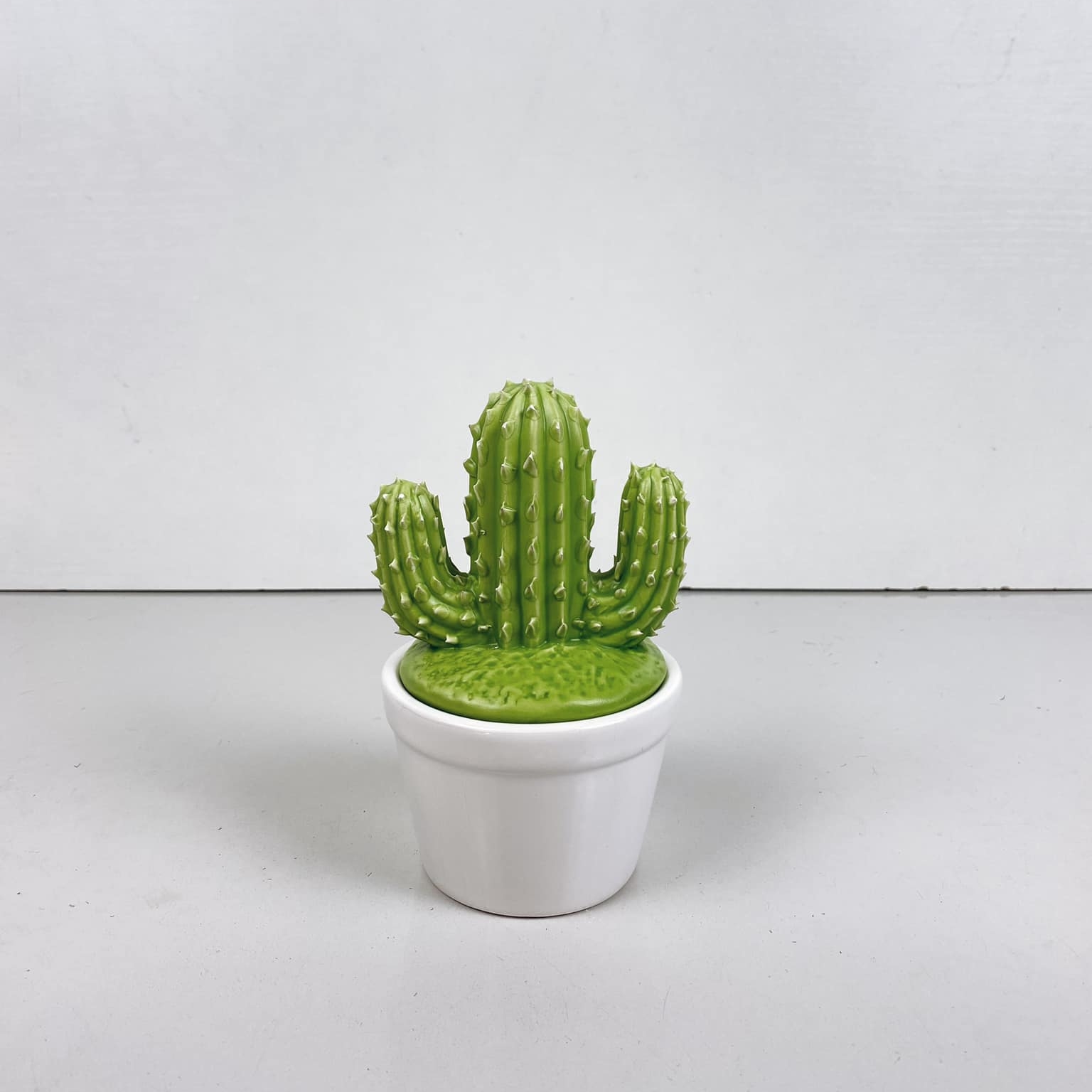 Шкатулка Кактус кераміка