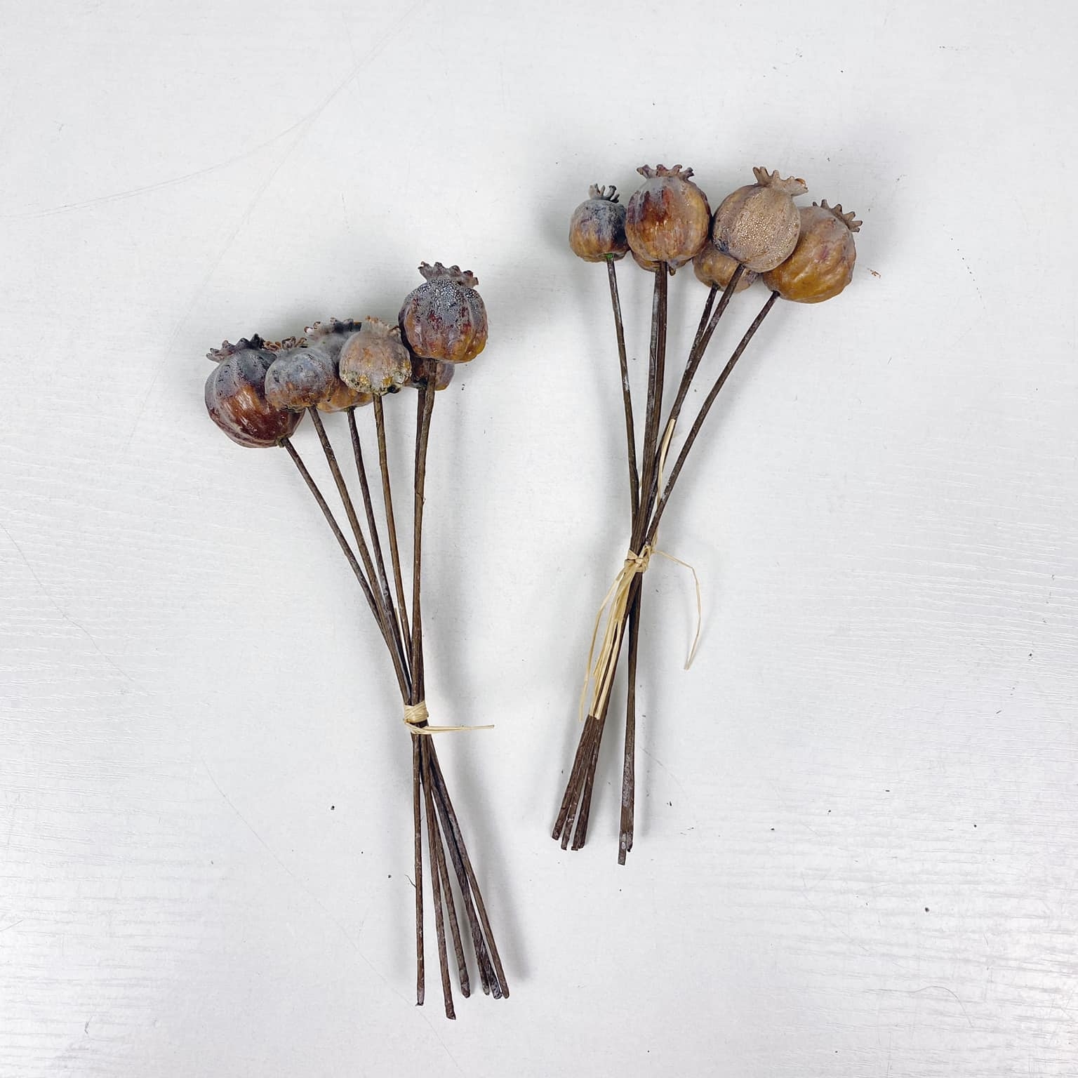 Мак коричневий штучний в'язанка 6 шт FW-158