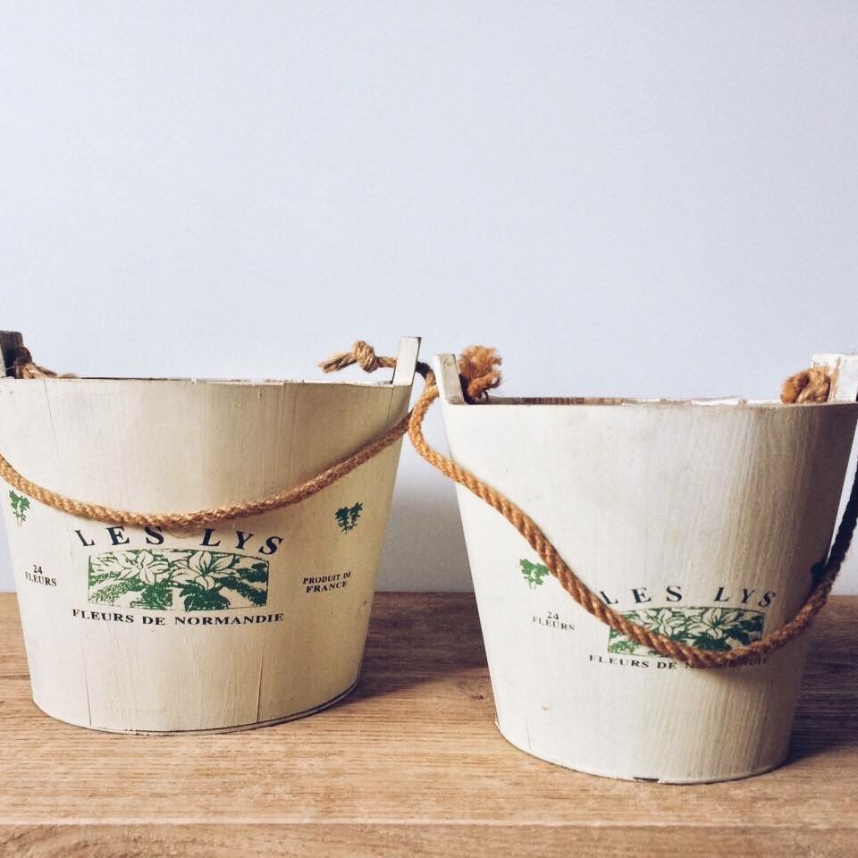 Кашпо декоративне мале дерево