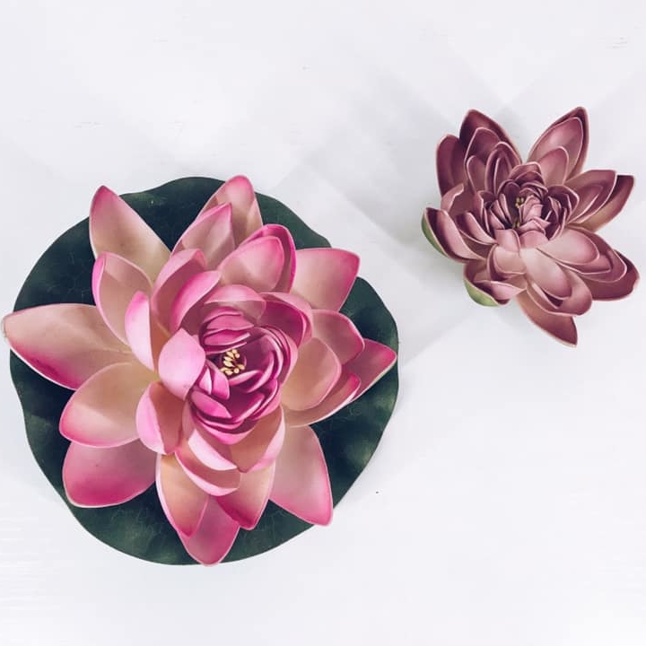 Лотос штучний