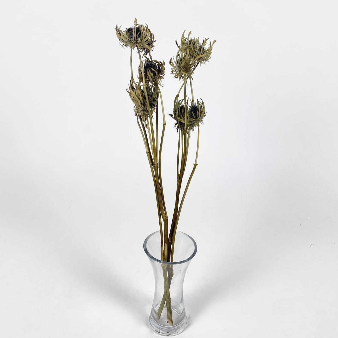 Сухоцвіти гілка блакитна FW-162