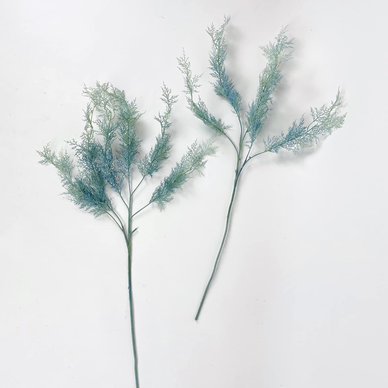 Аспарагус штучний блакитний гілка FW-195