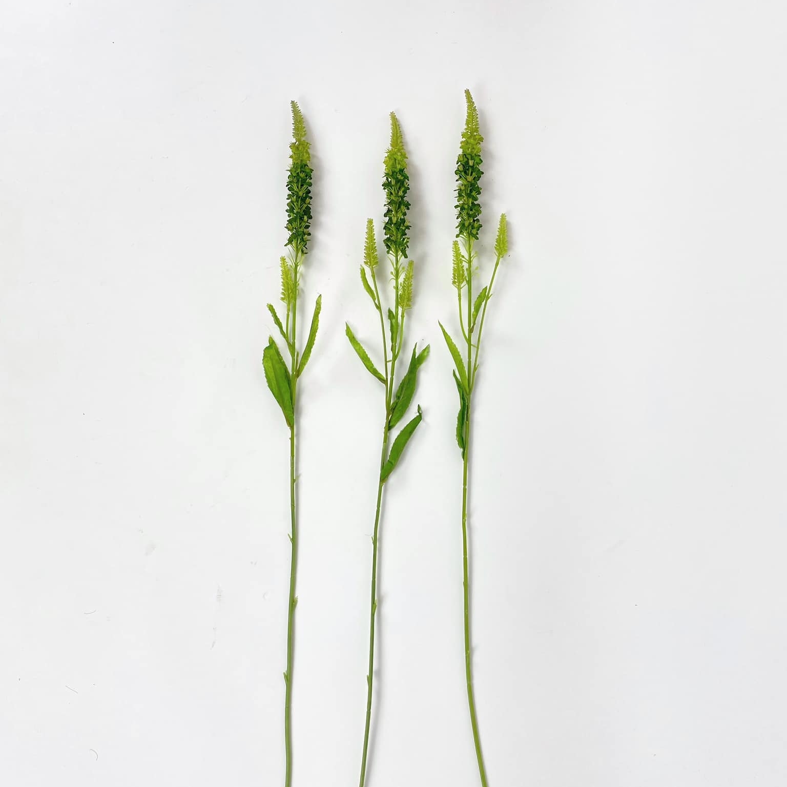 Резеда штучна зелена гілка FW-196