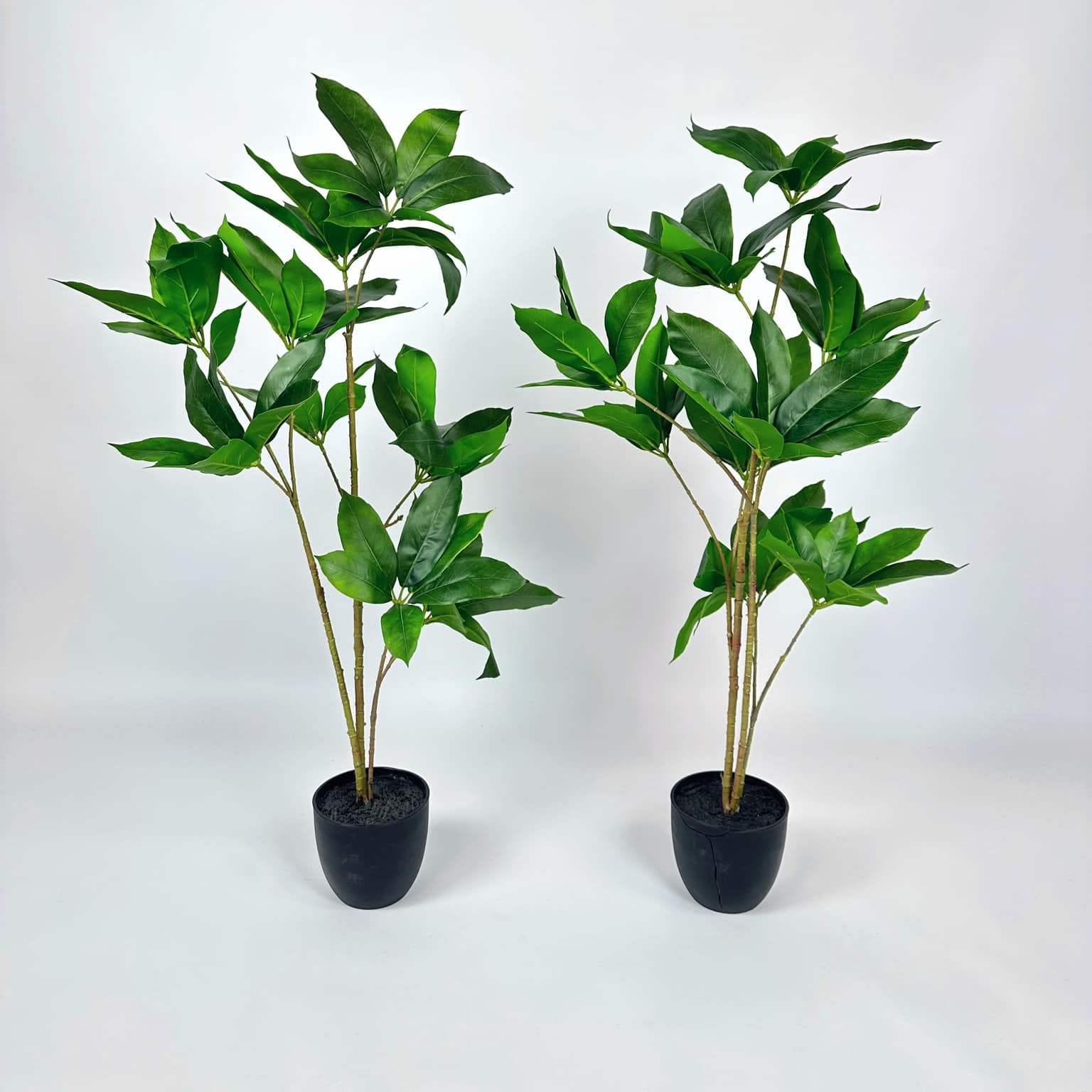 Шеффлера штучна у вазоні FW-239