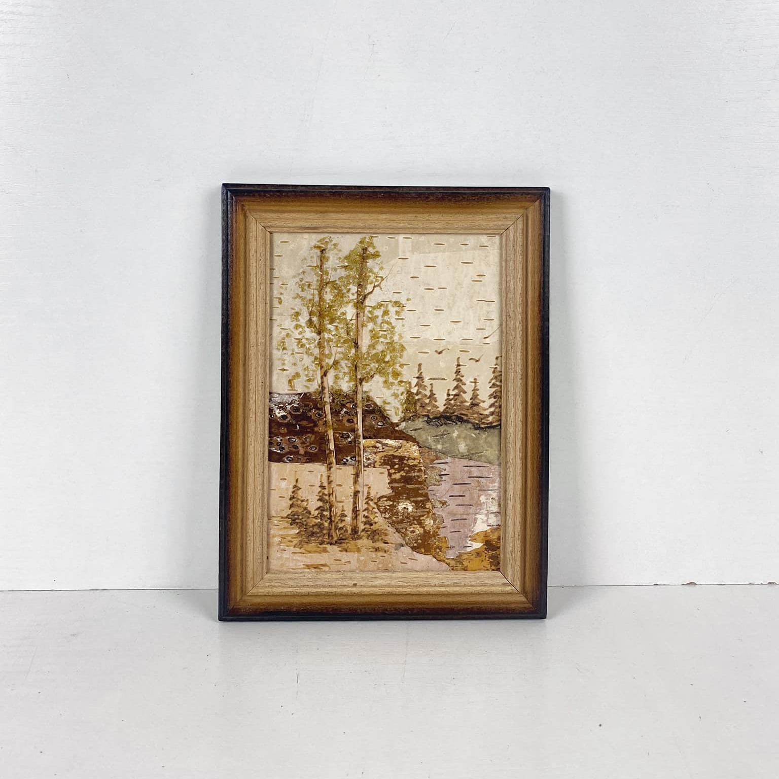 Аплікація Берізки на березі в рамці вінтаж AR-736