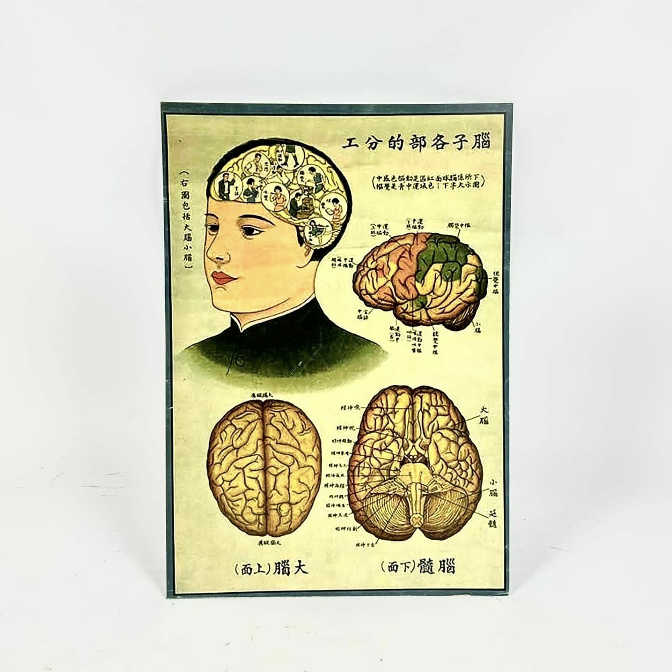 Постер рекламний медицина китай AR-970