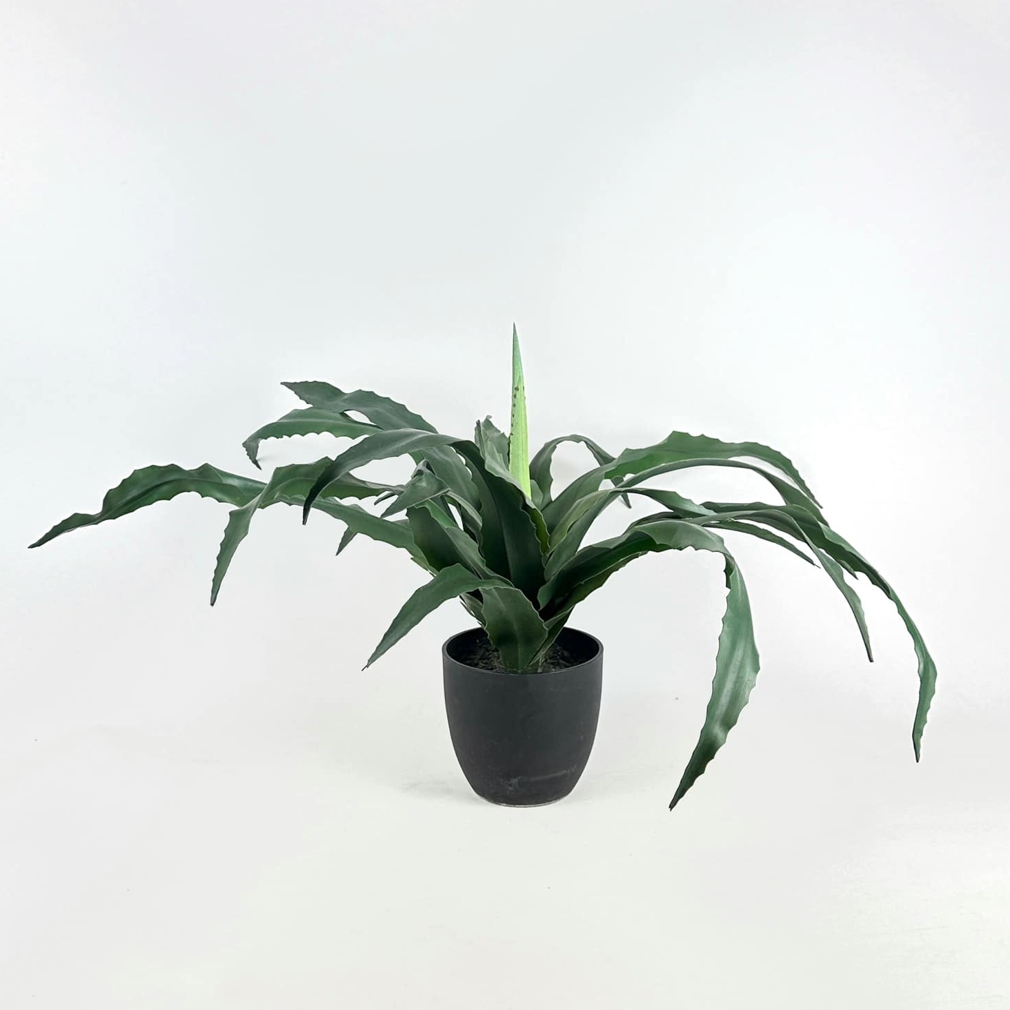 Алое вера штучний у чорному вазоні FW-245