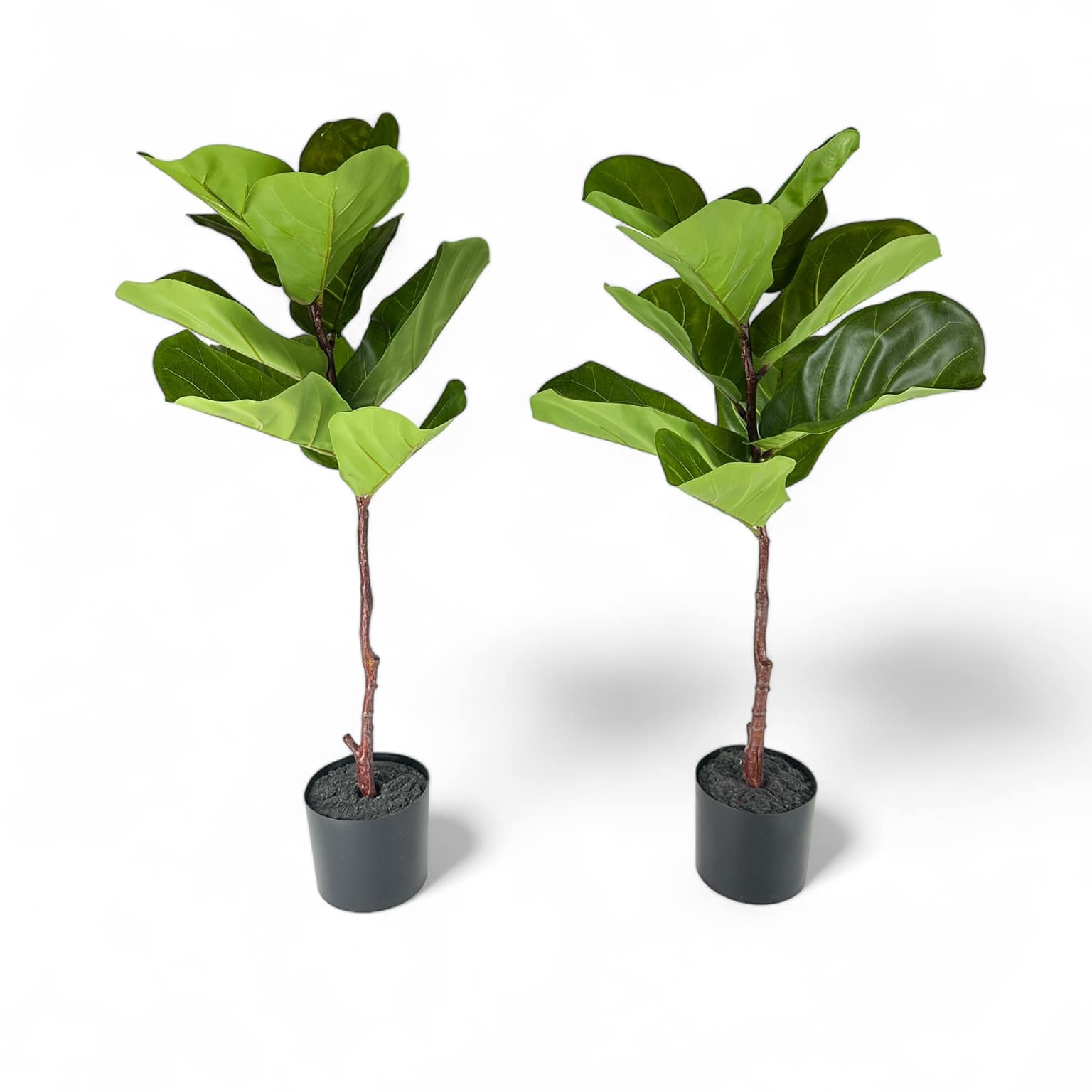 Фікус ліровидний штучний 80 у чорному вазоні FW-248