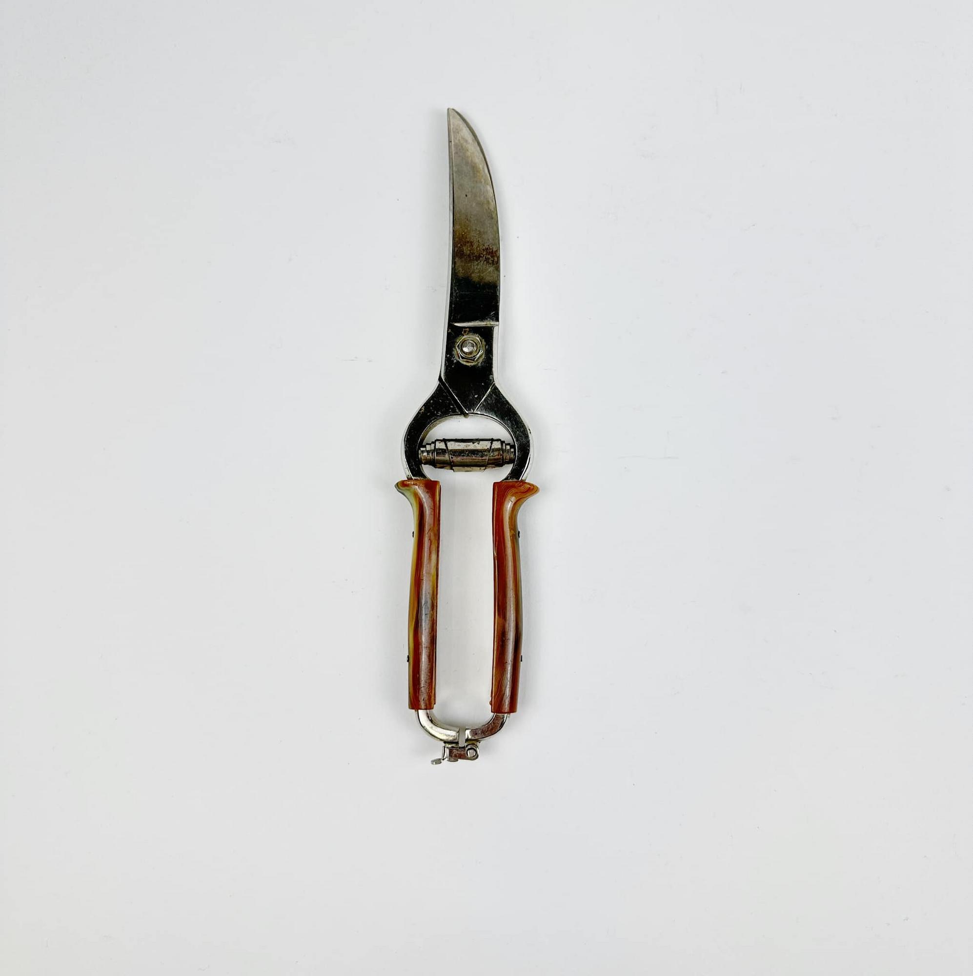 Ножиці кулінарні для риби/птахів KL-156