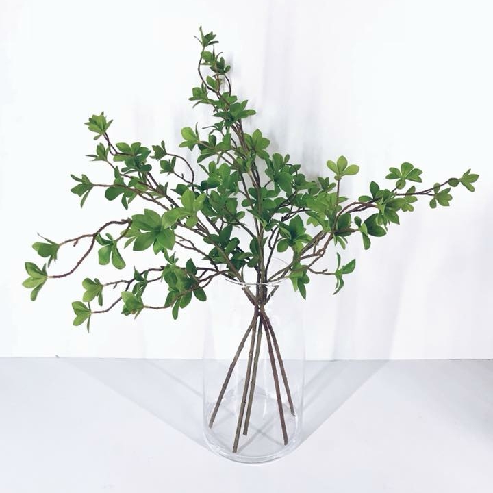 Гілка зелень декоративна FW-051