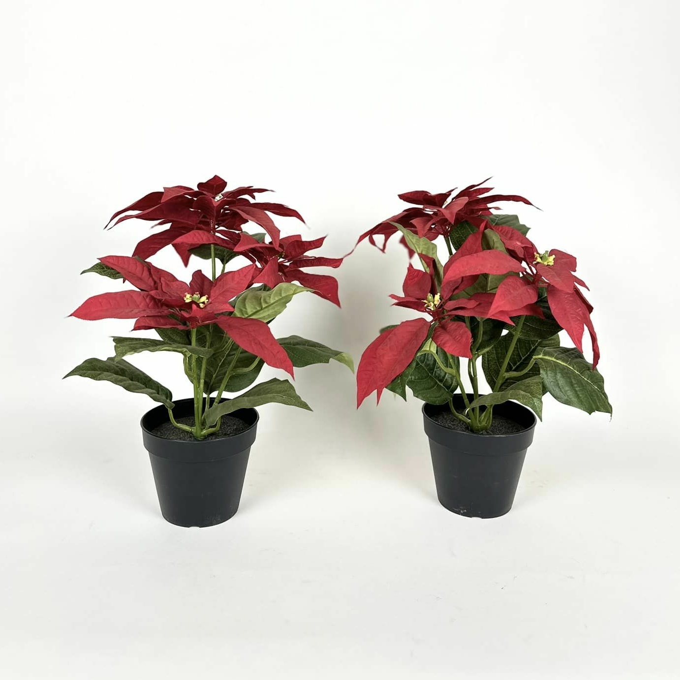 Пуансетія штучна у вазоні FW-251