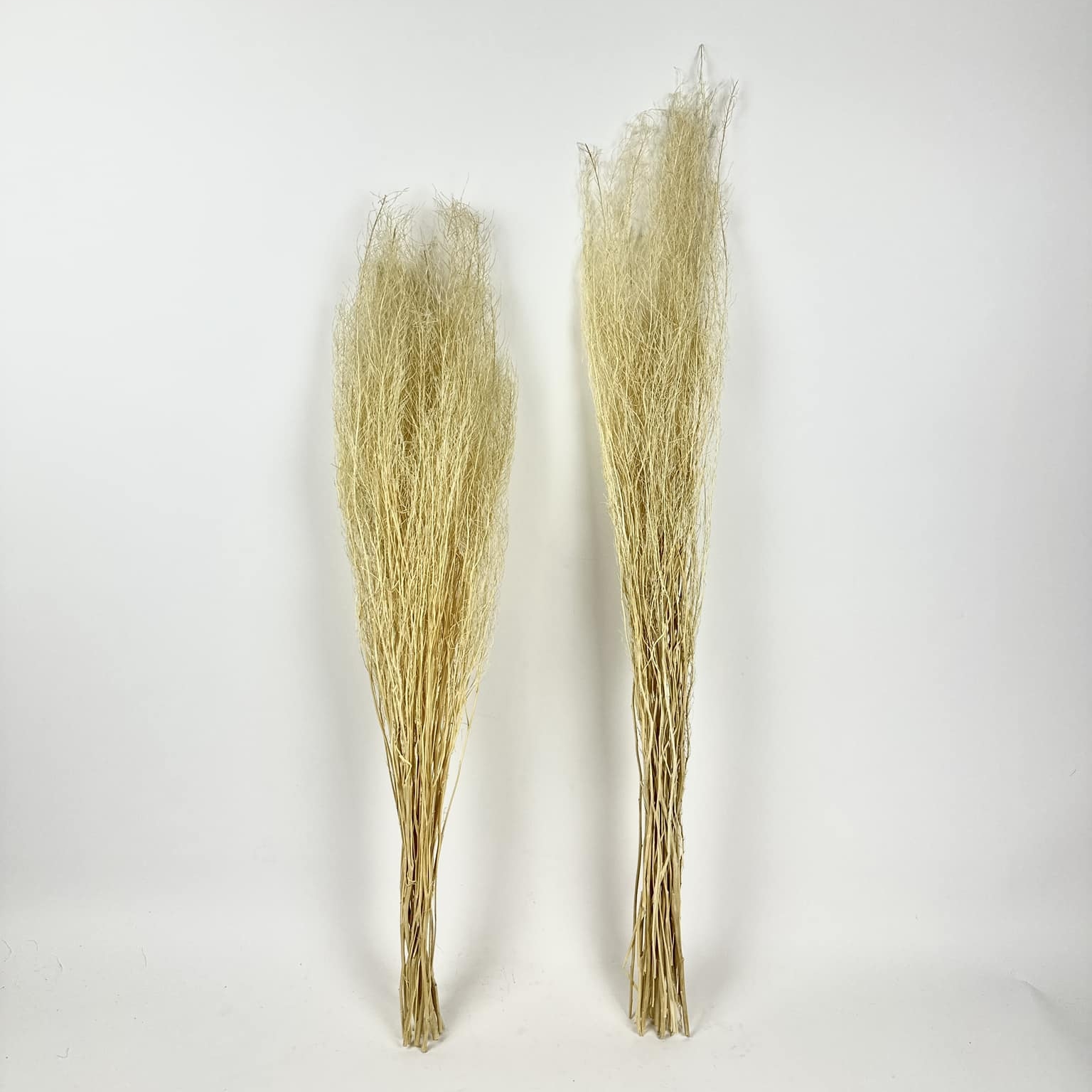 Гілки вибілені (в'язанка) FW-252