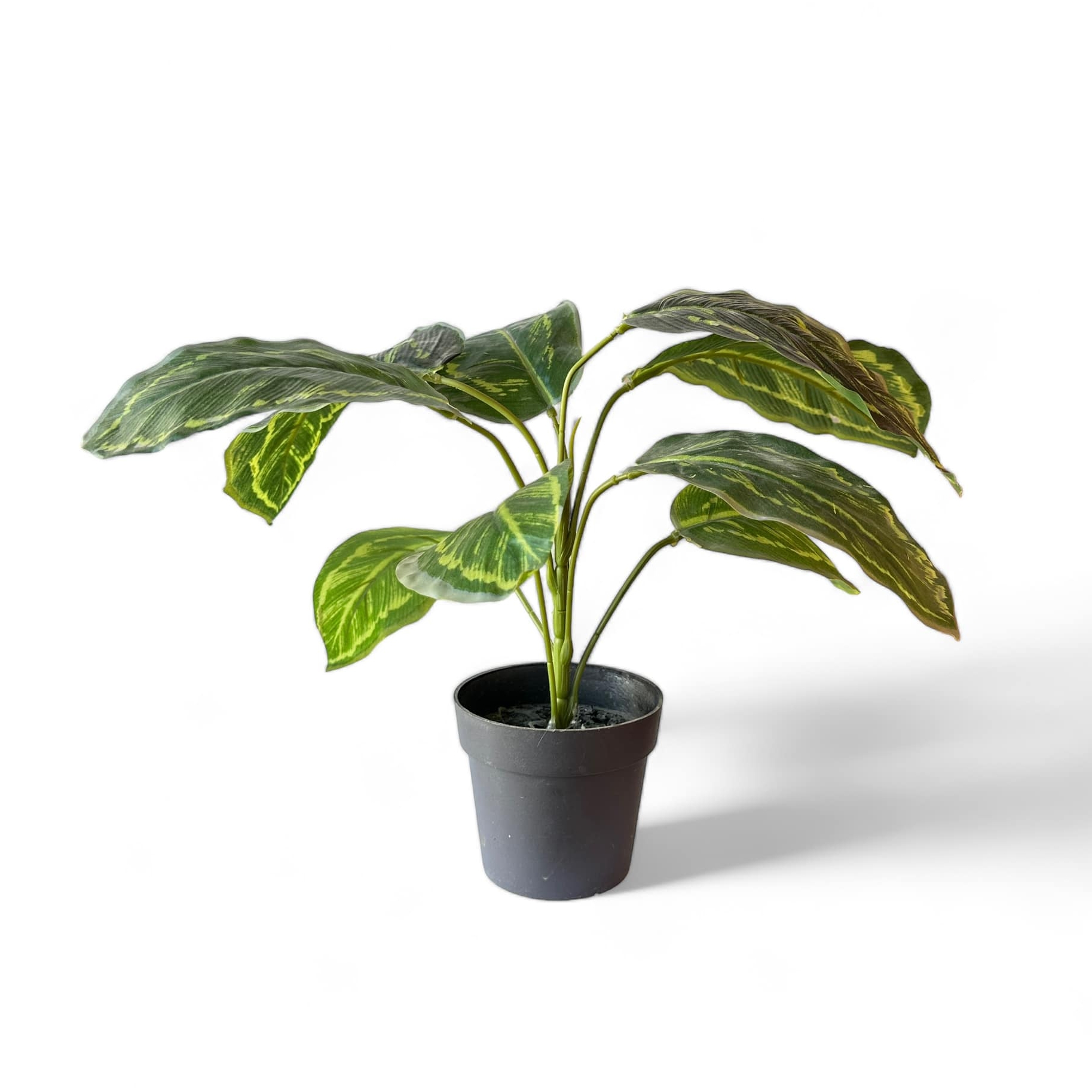 Діффенбахія штучна у вазоні FW-258