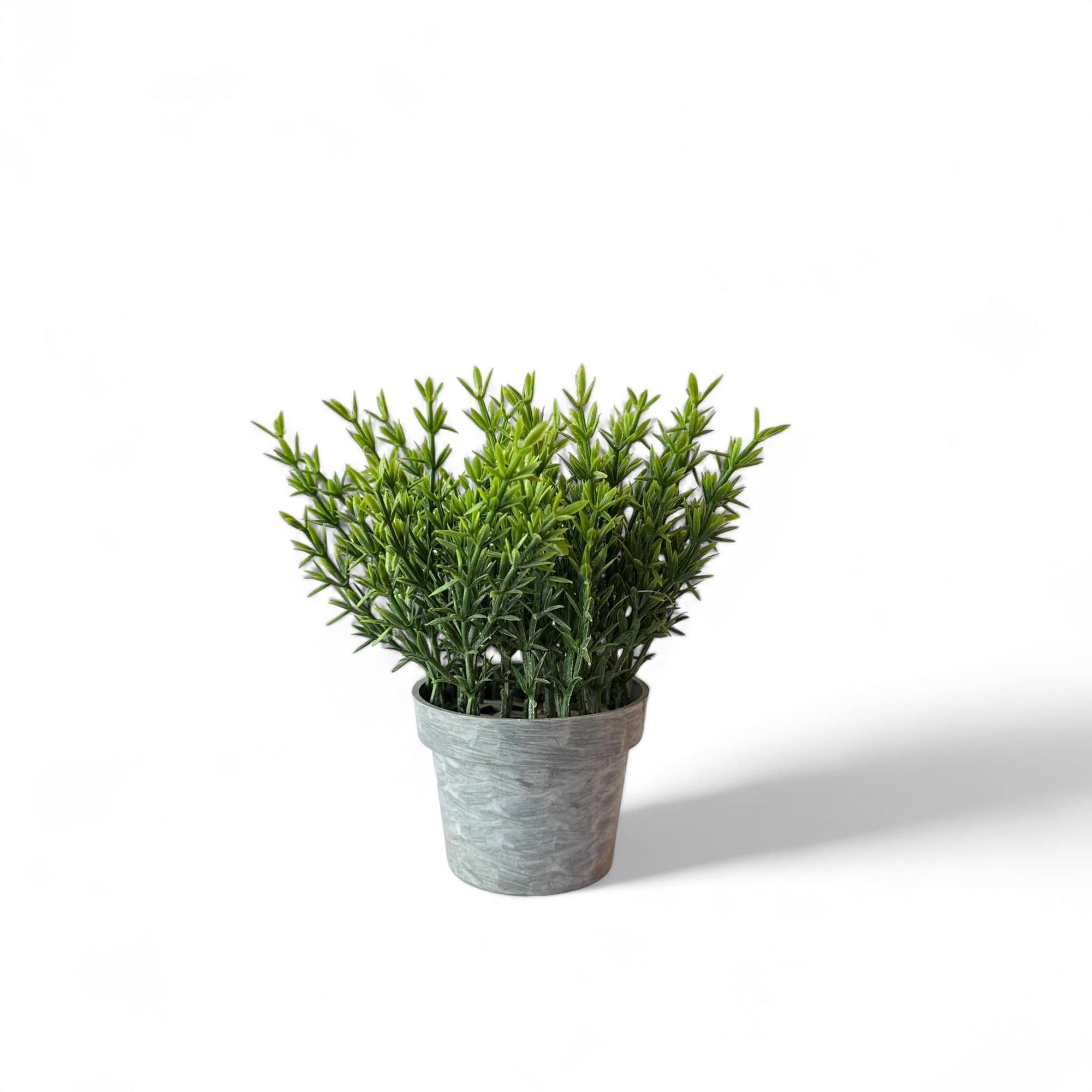 Розмарин штучний у вазоні FW-259