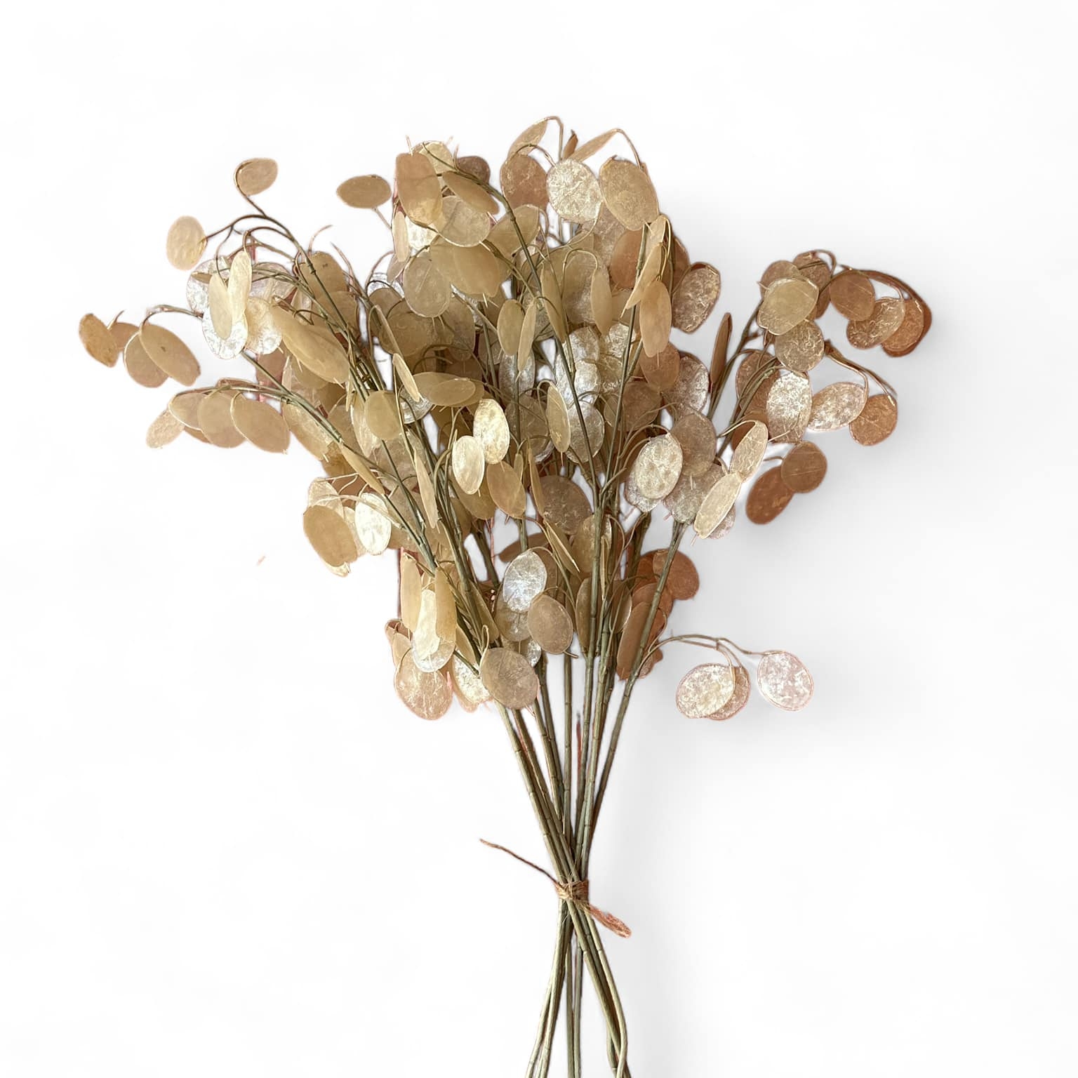 Лунарія штучна гілка FW-260