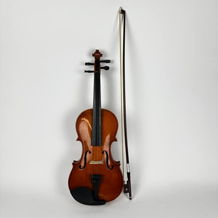 Скрипка з футляром 2