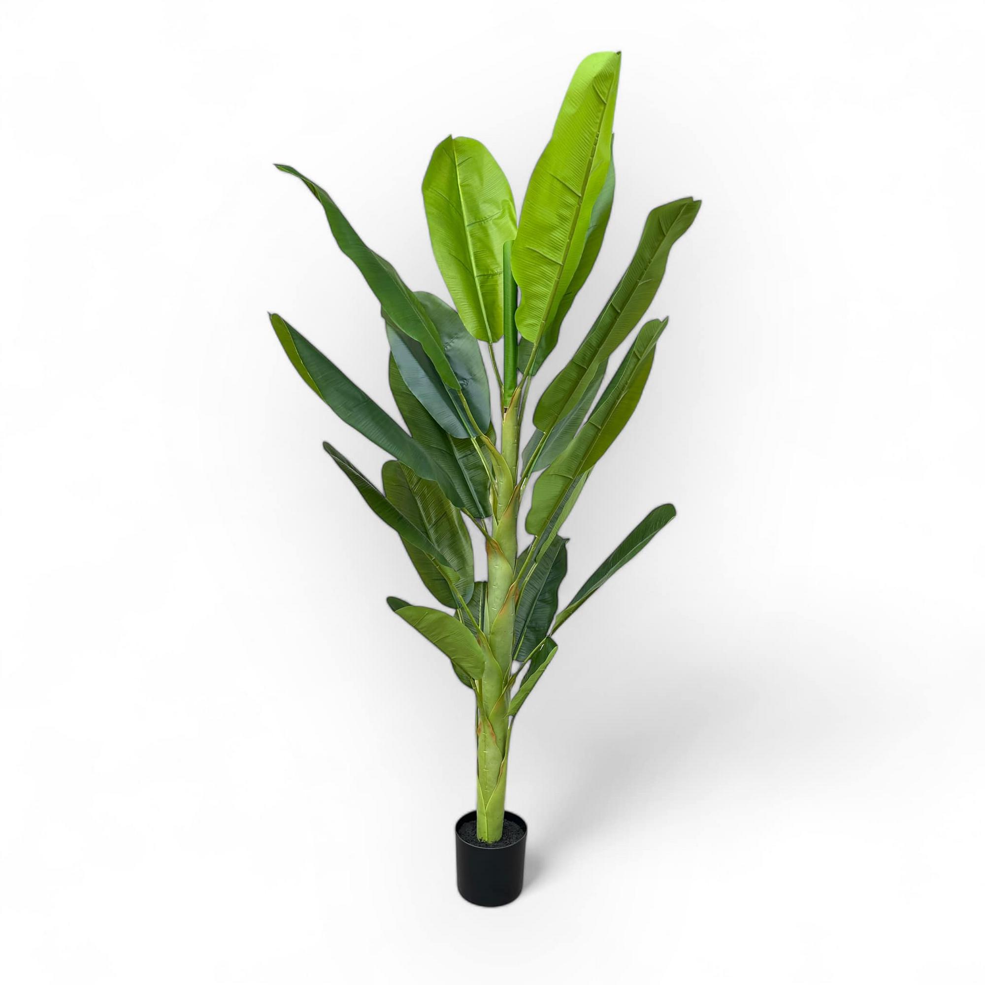 Банан штучний у чорному кашпо FW-266