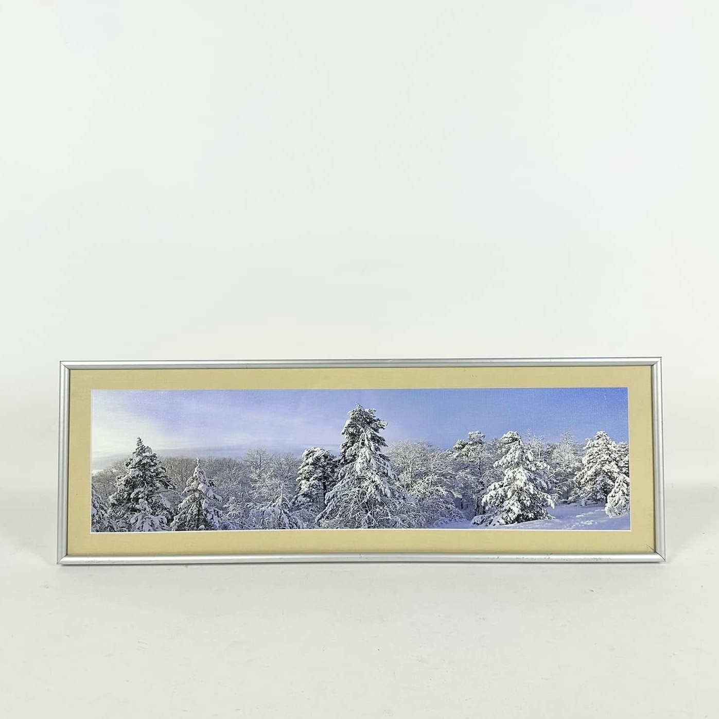 Фото в рамці з паспарту Зимовий пейзаж AR-1102