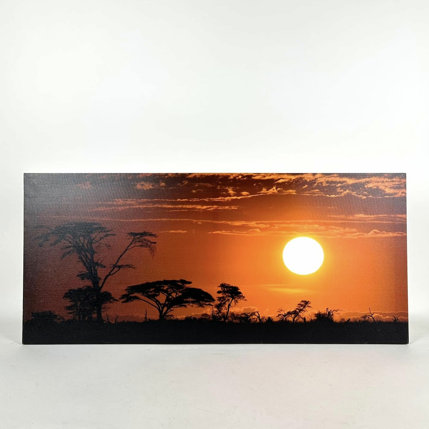 Фотокартина Захід сонця в саванні AR-1168
