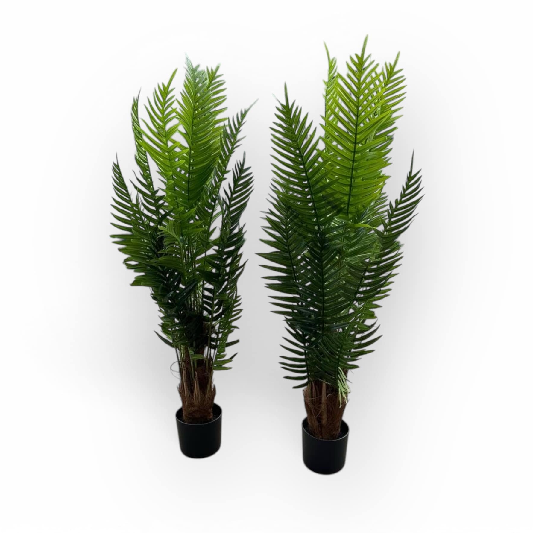 Папороть штучна 120 у чорному вазоні FW-267