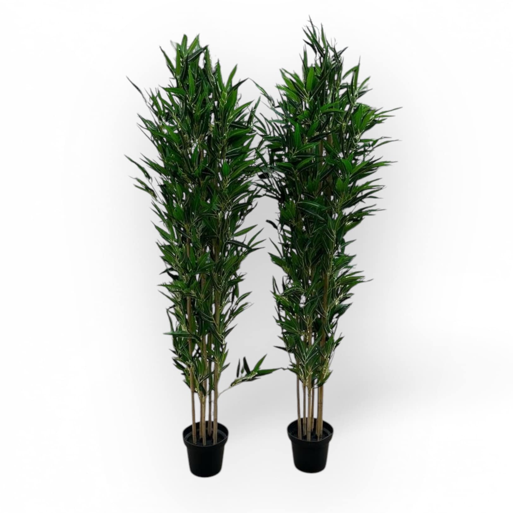 Бамбук штучний 150 в чорному кашпо FW-269