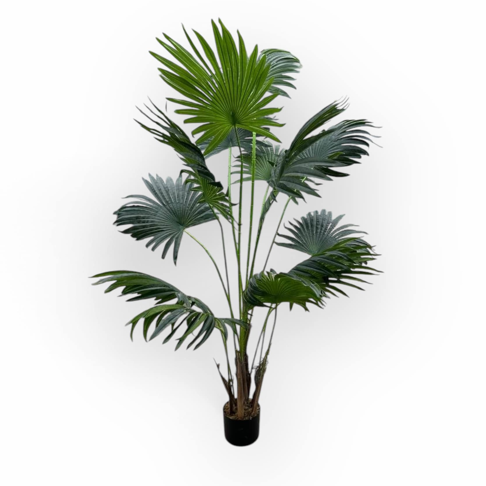 Фенікс штучний 150 в чорному вазоні FW-273