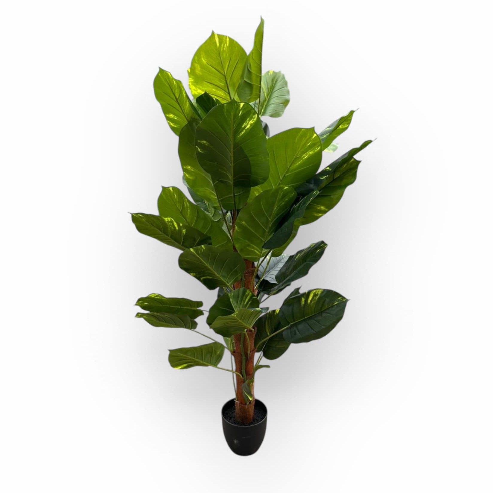 Потос штучний 150 в чорному вазоні FW-274