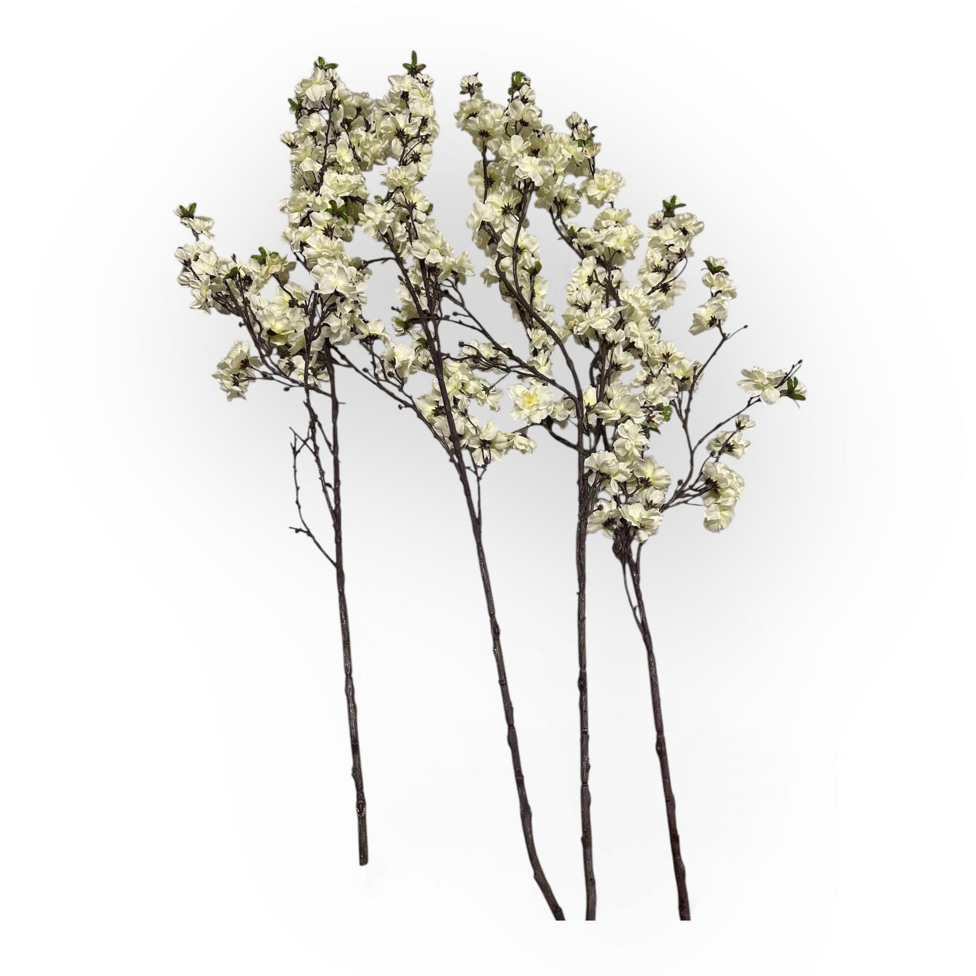 Гілка яблуневий цвіт білий