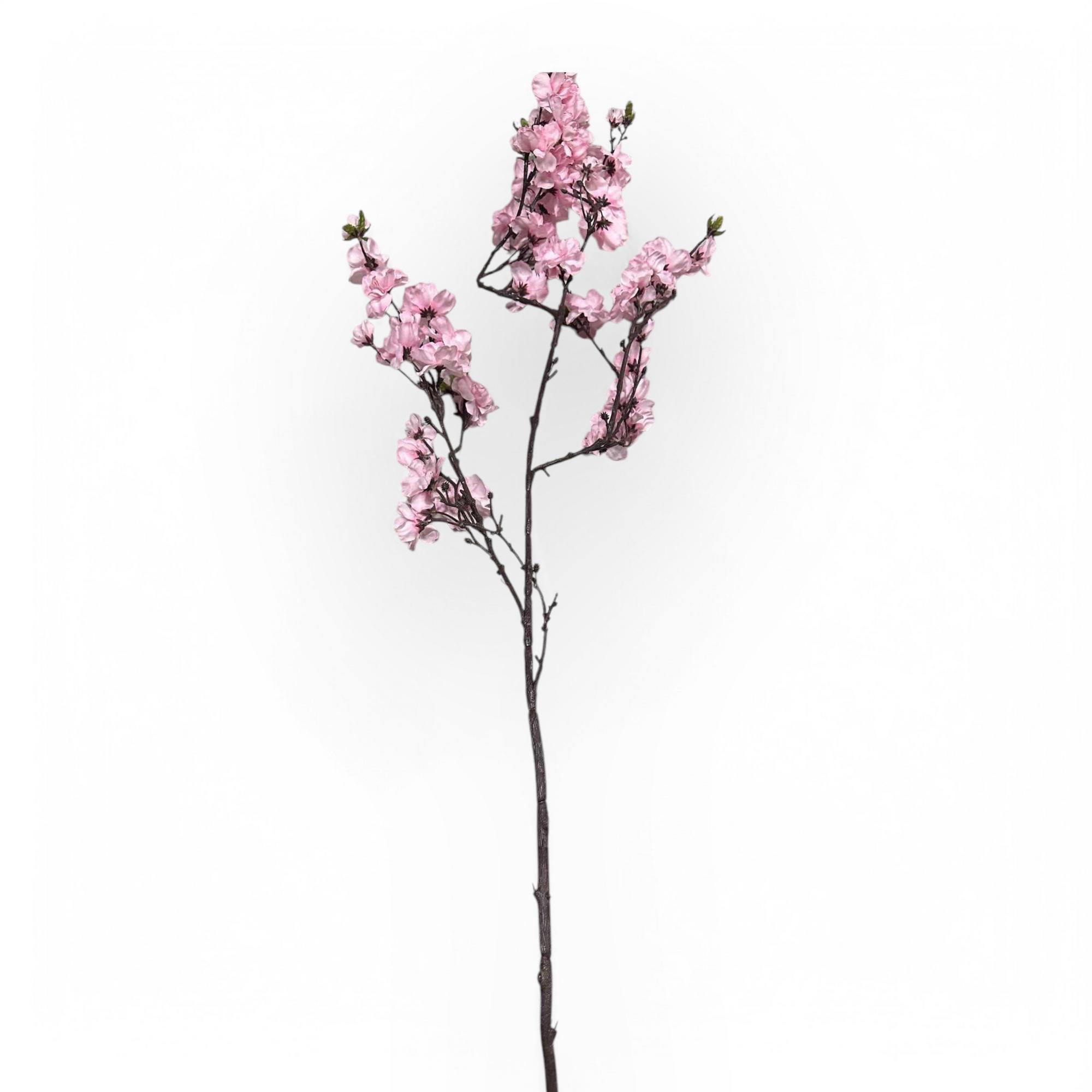 Гілка яблуневий цвіт рожевий