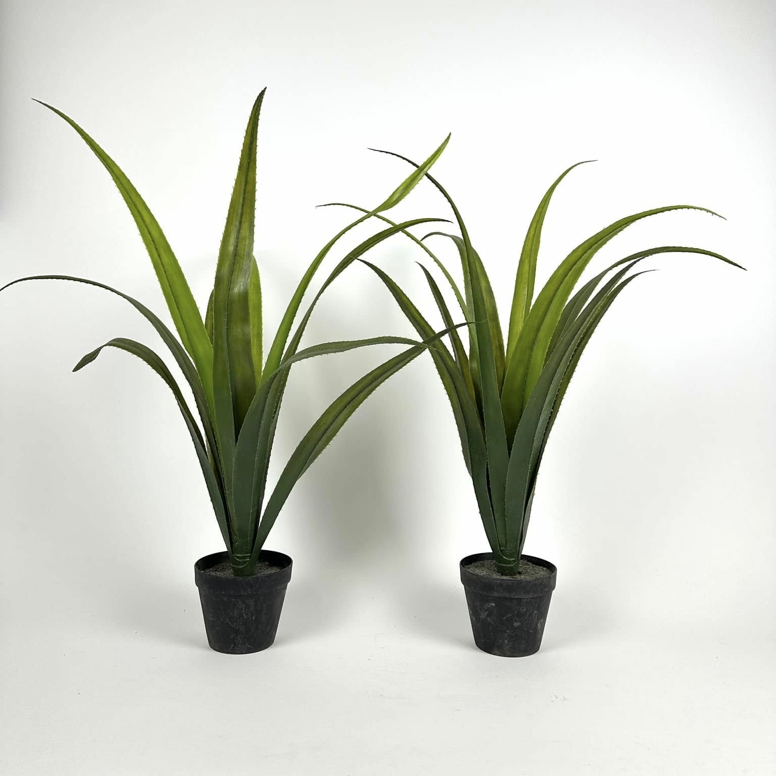 Алое штучний у чорному вазоні FW-276