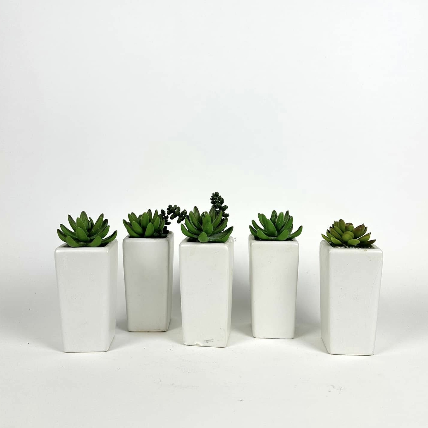 Сукулент штучний у білому вазоні FW-278