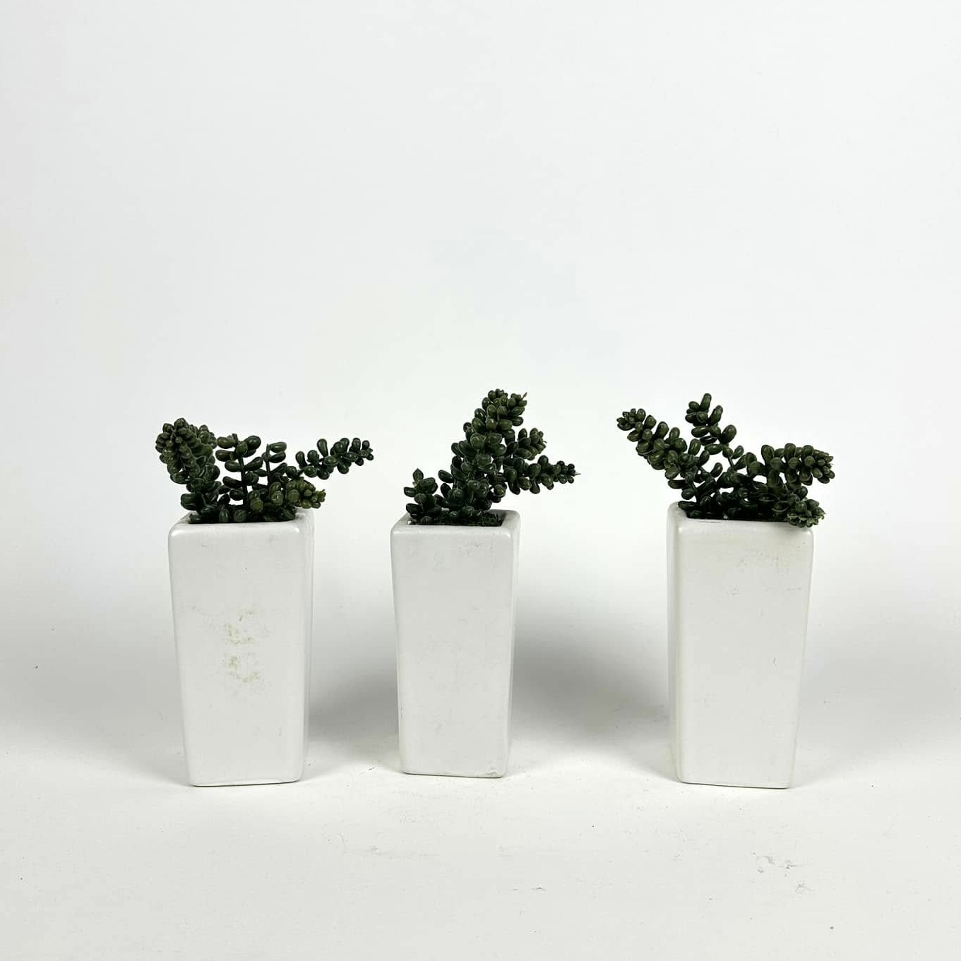 Сукулент штучний у білому вазоні FW-279