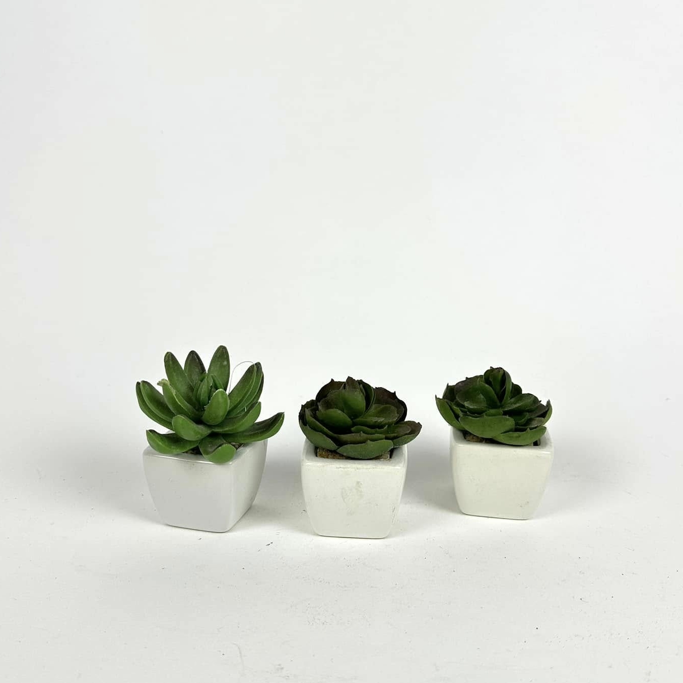 Сукулент штучний у білому вазоні FW-280