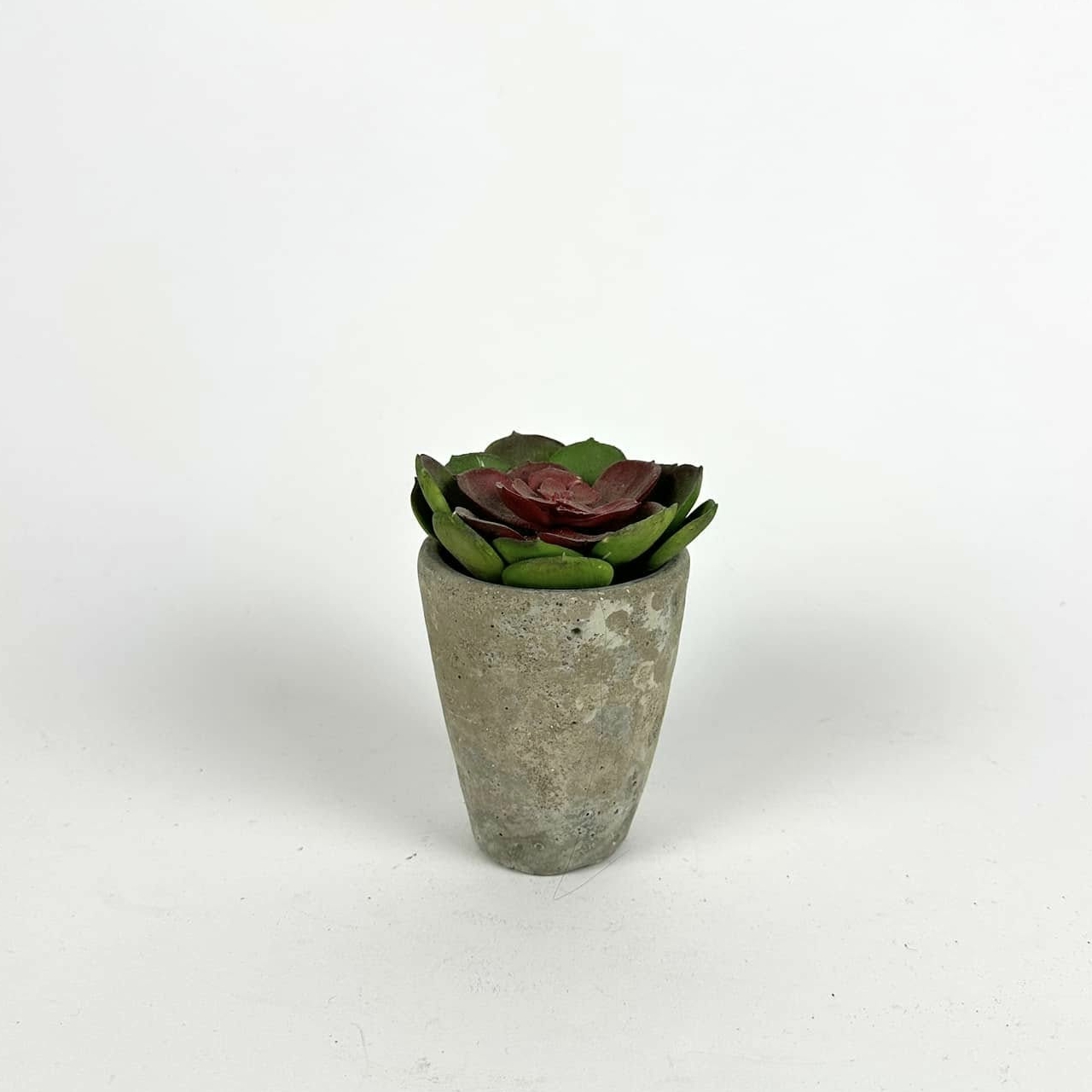 Сукулент штучний в бетонному кашпо FW-282