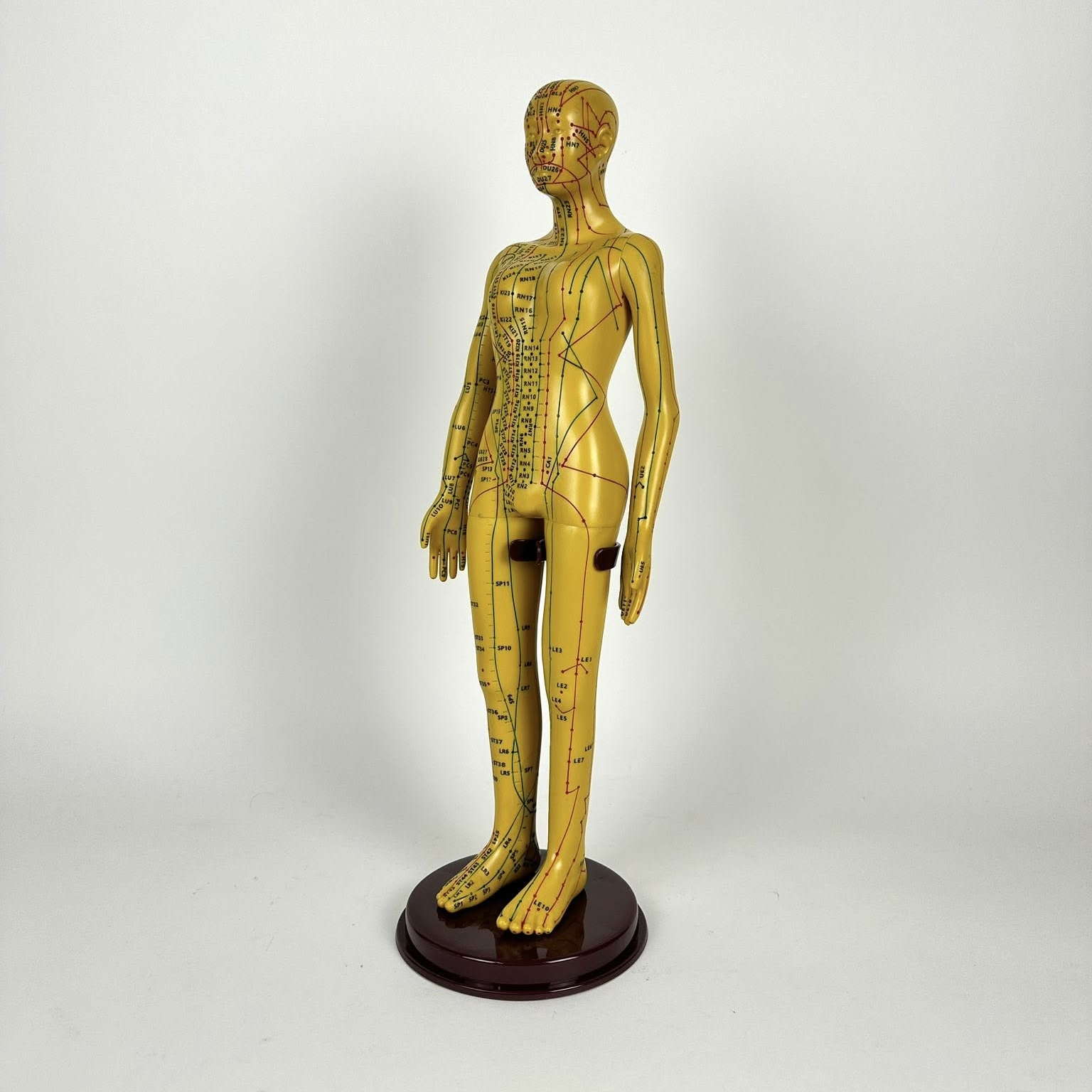 Модель тіла людини зі схемою акупунктурних точок SK-030